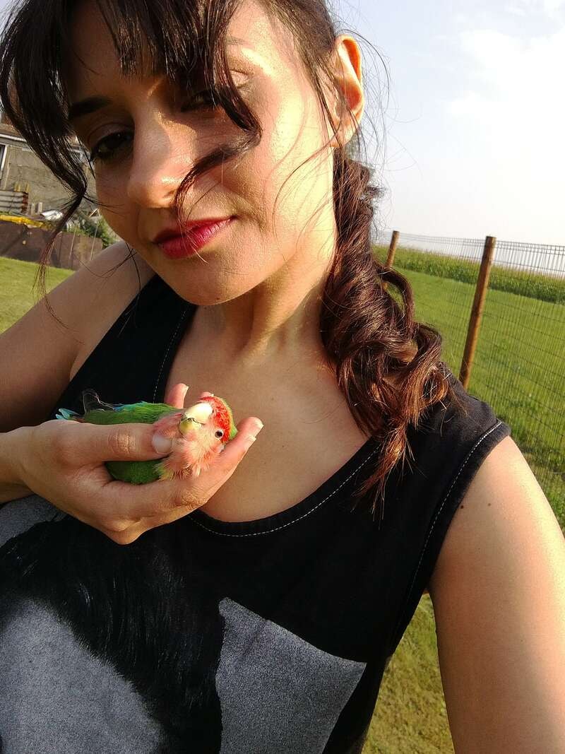 Photo 3