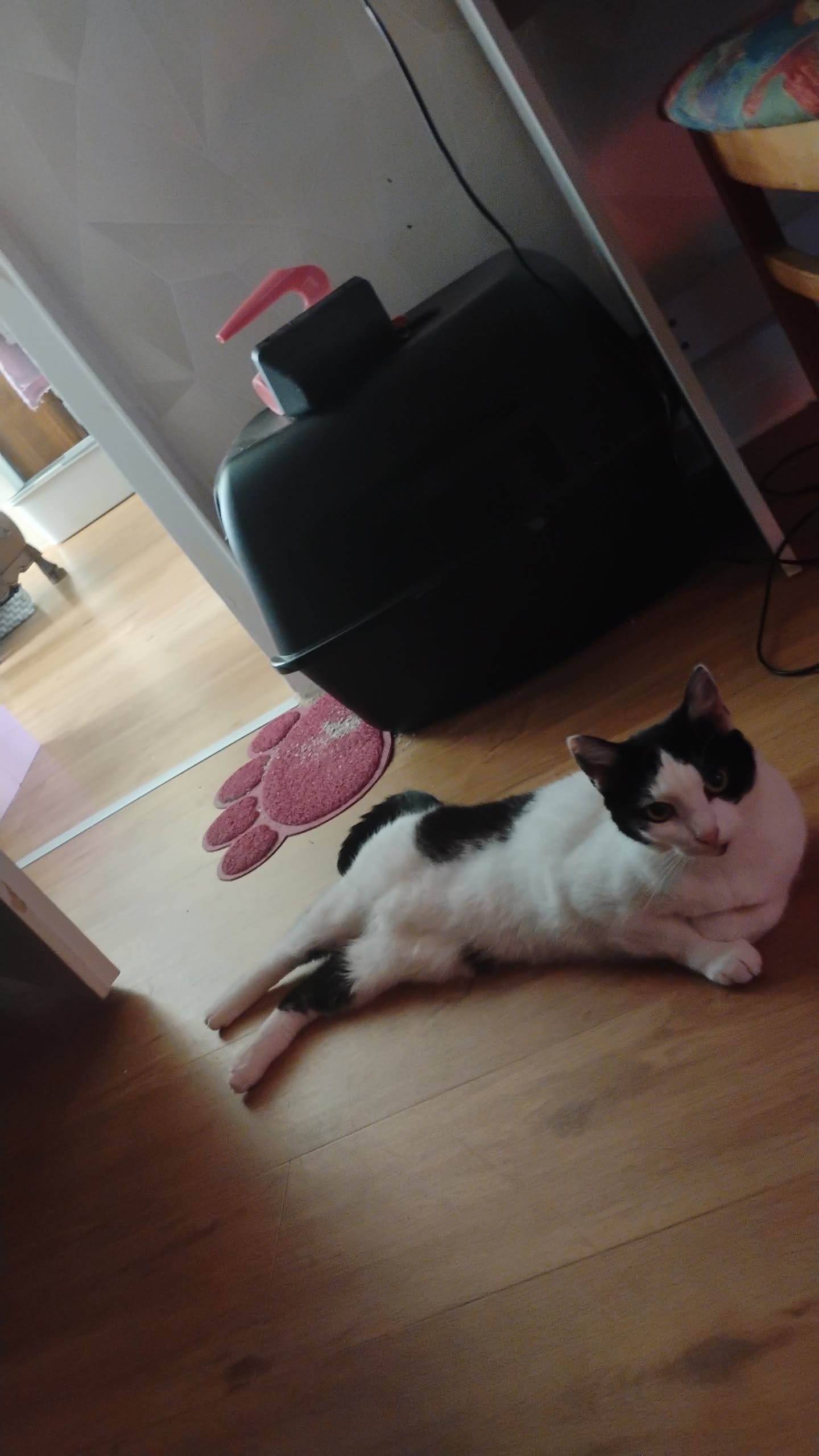 Foto 2