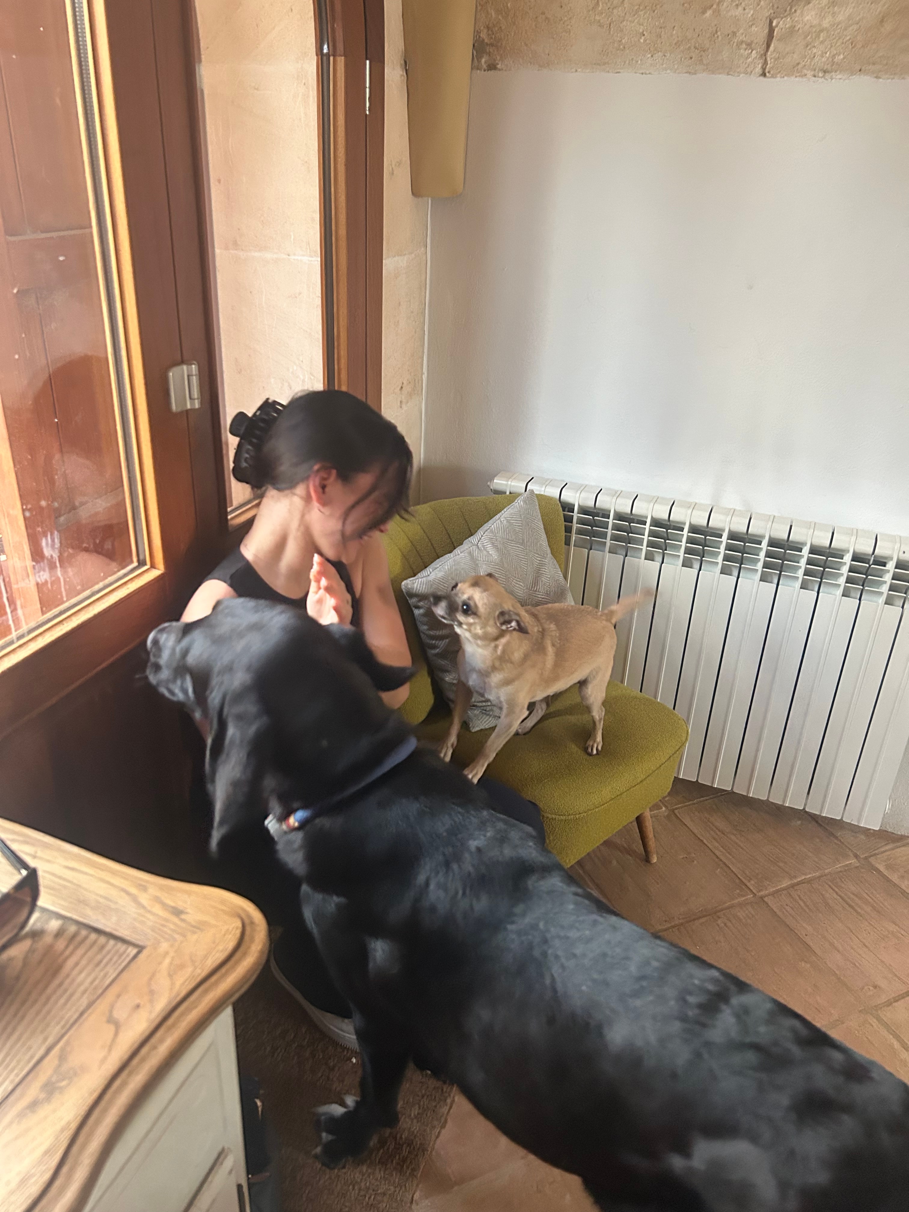 Foto 2