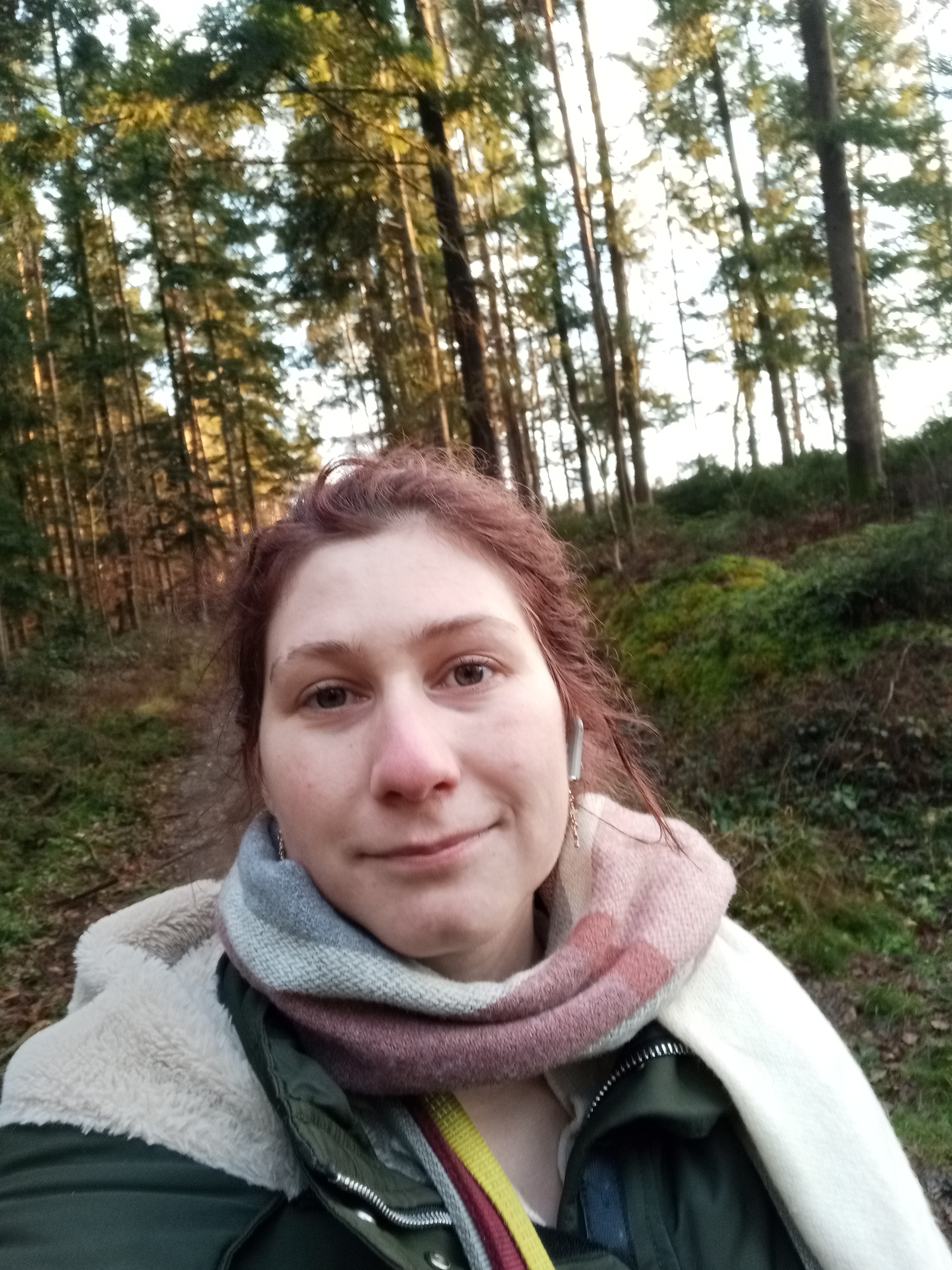 Foto 1
