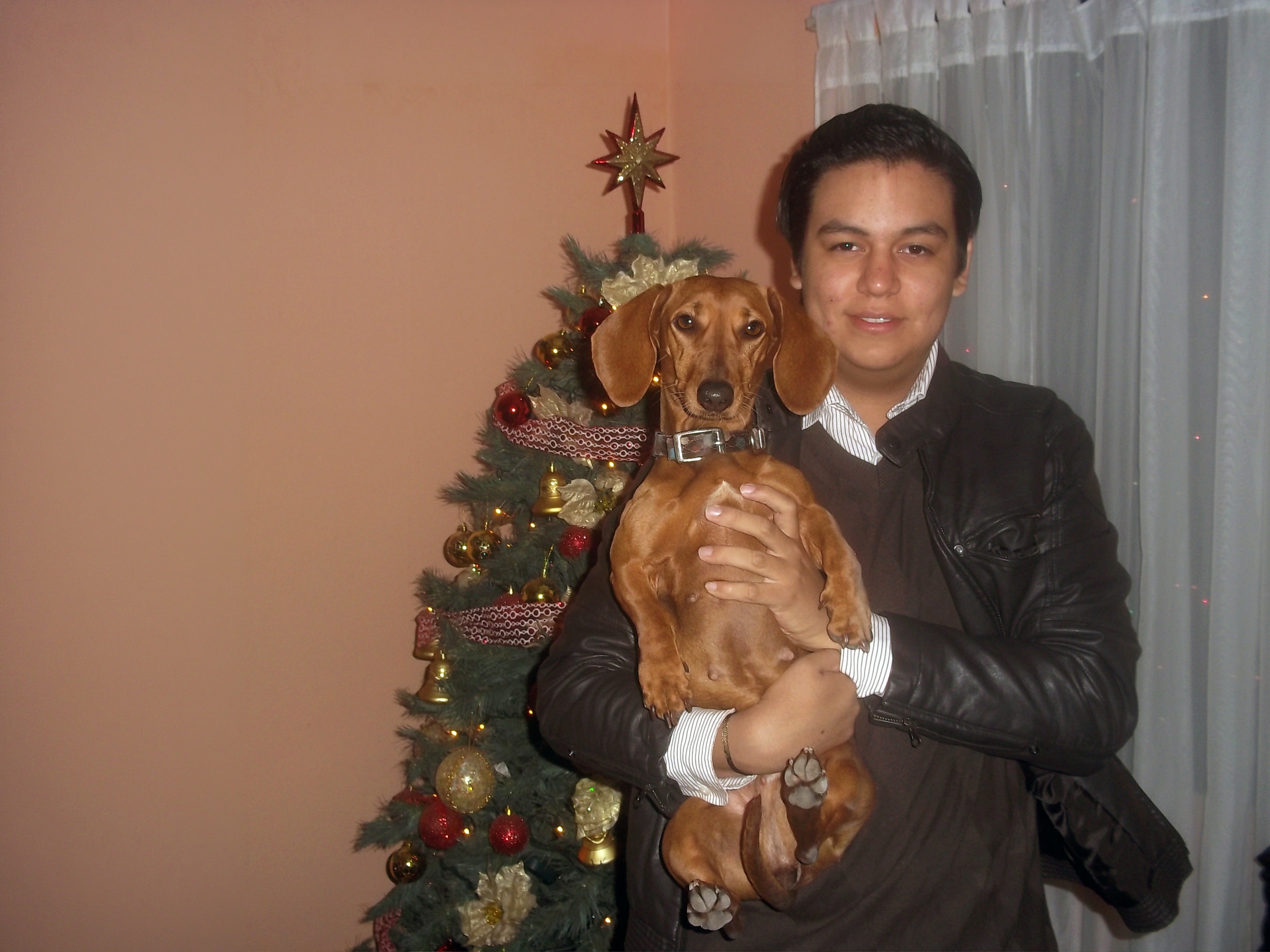 Photo 1