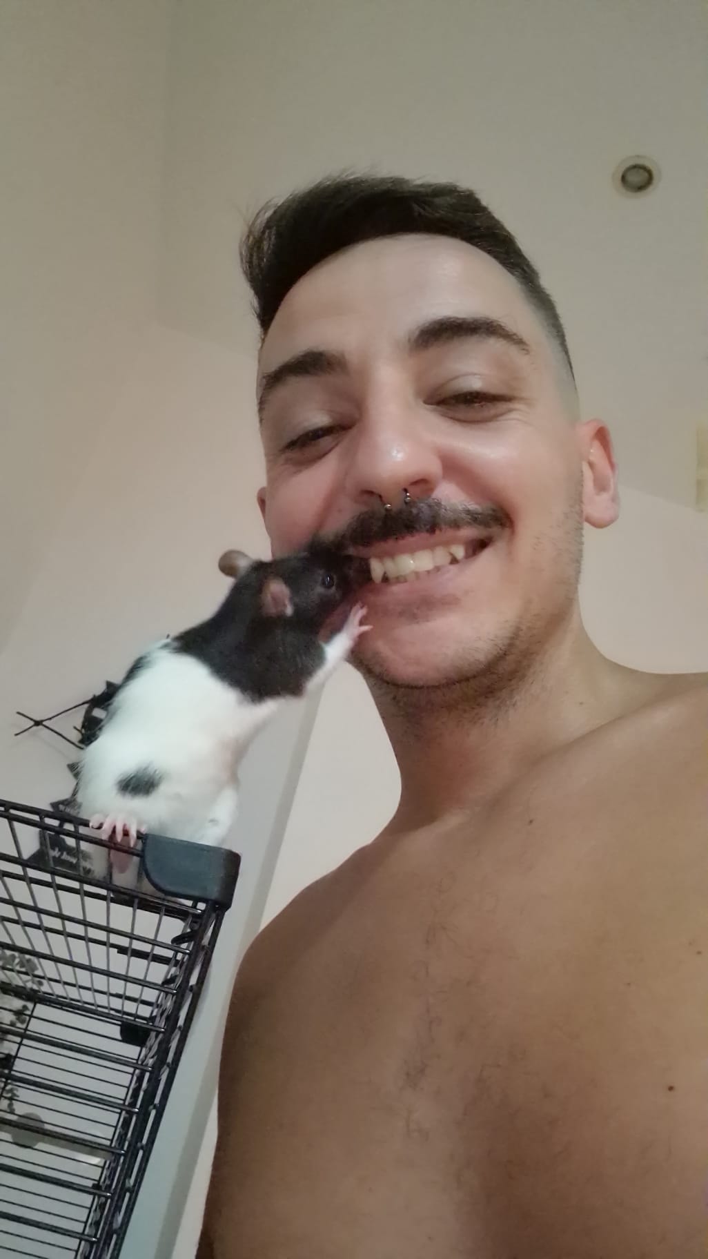 Foto 4