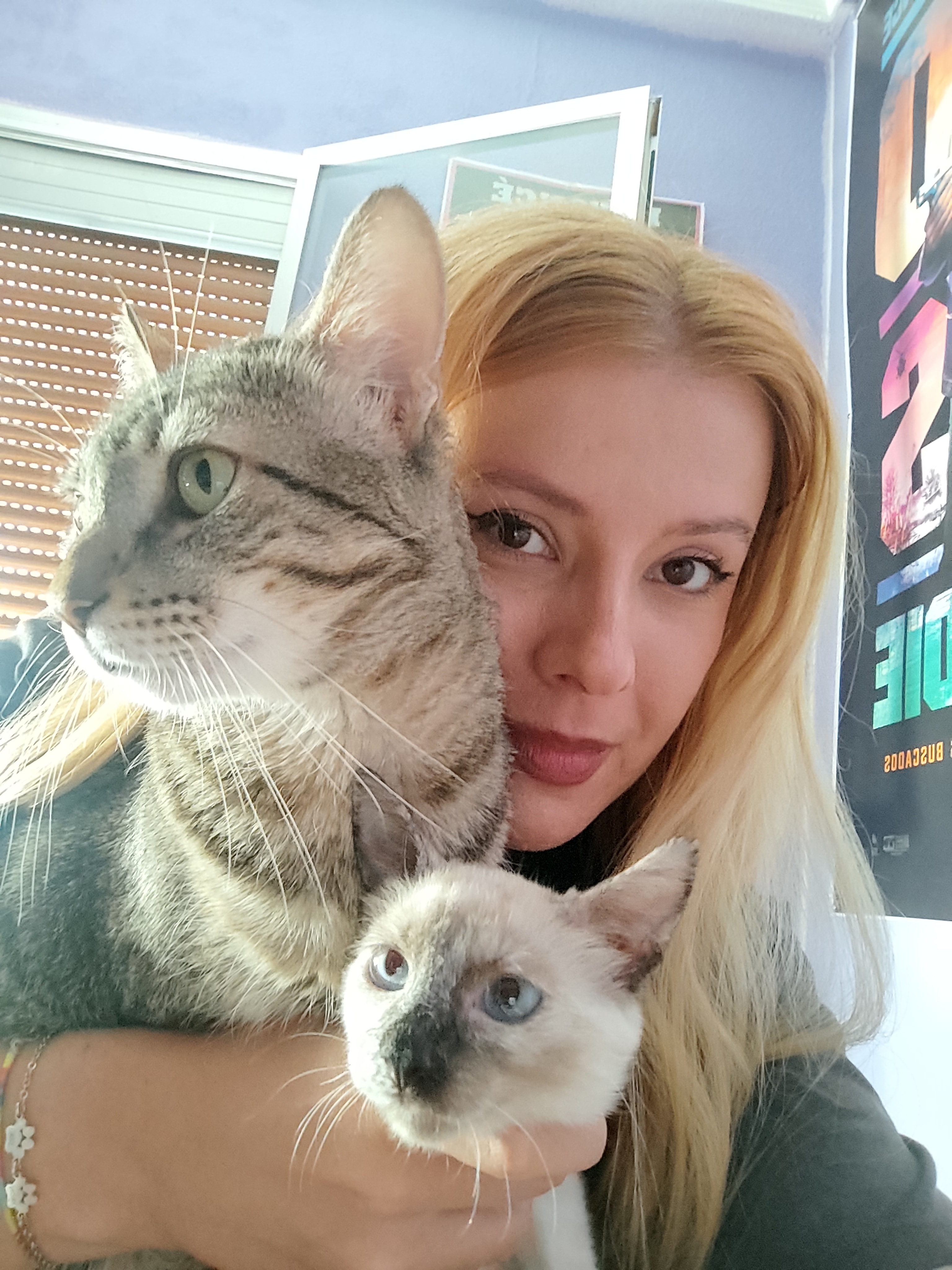 Foto 1
