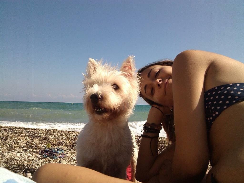 Foto 1