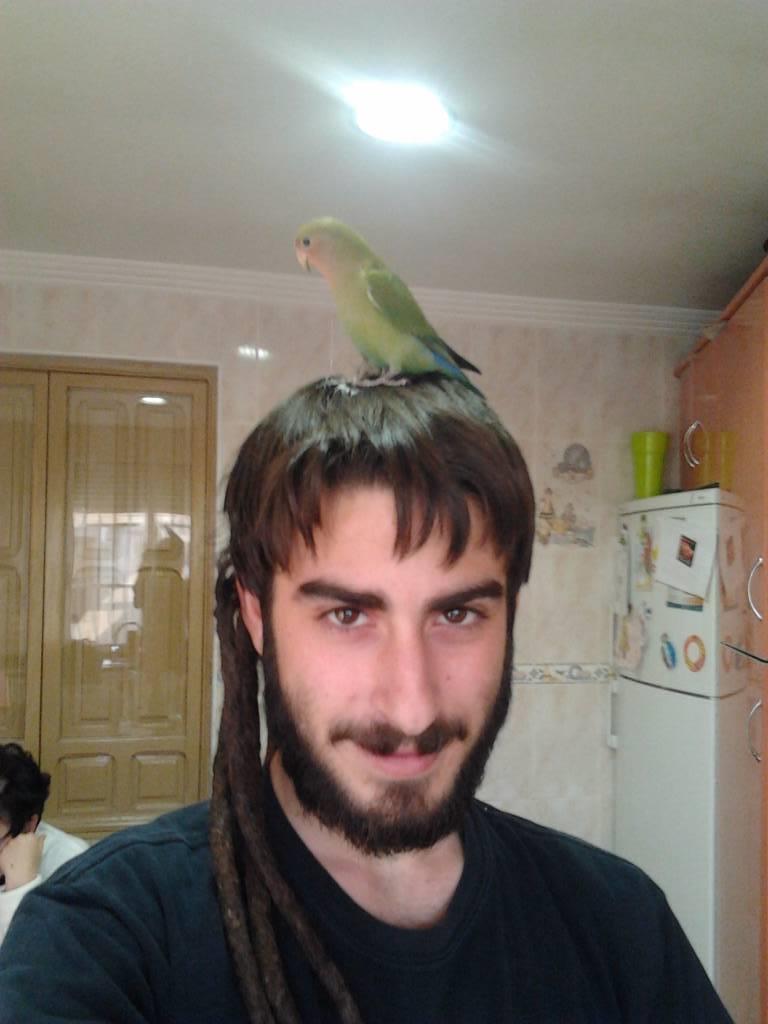 Foto 1