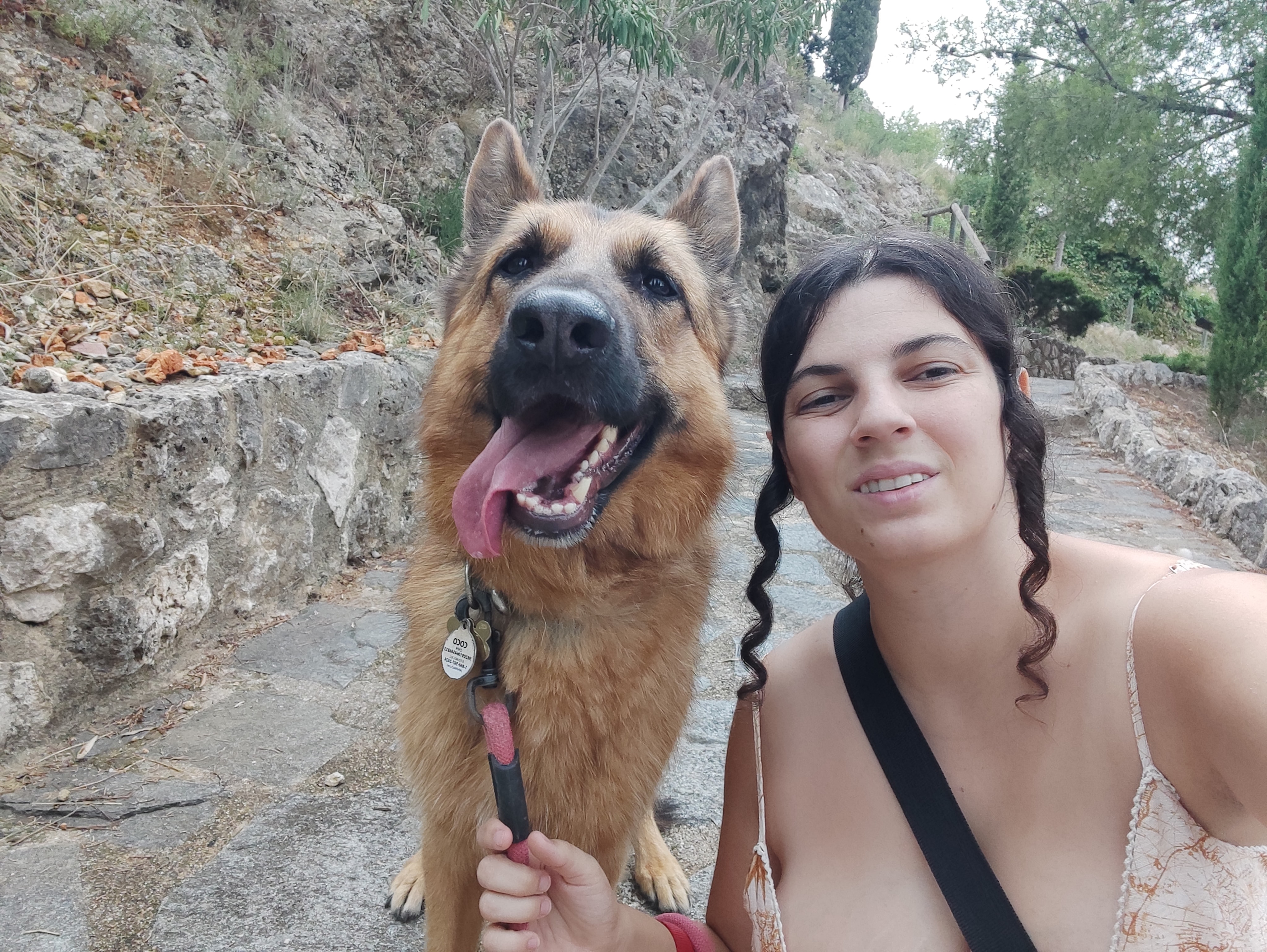 Foto 4