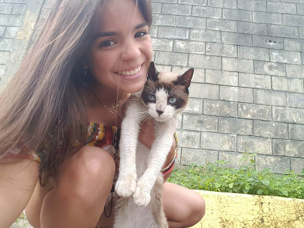 Foto 1