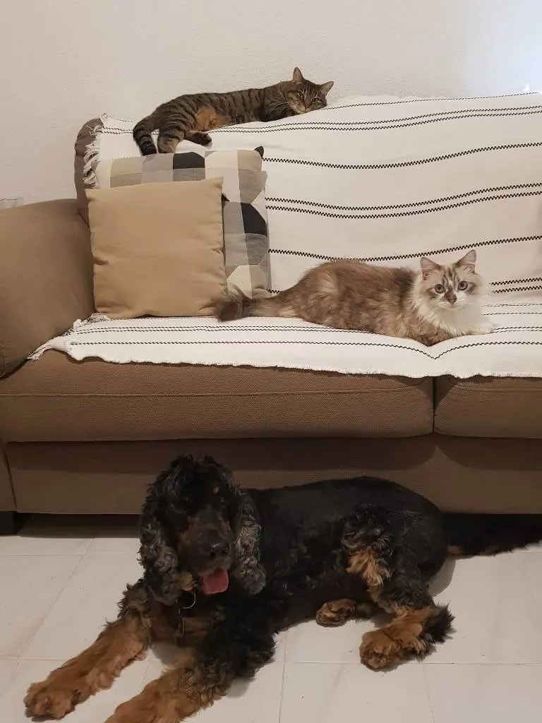 Foto 5