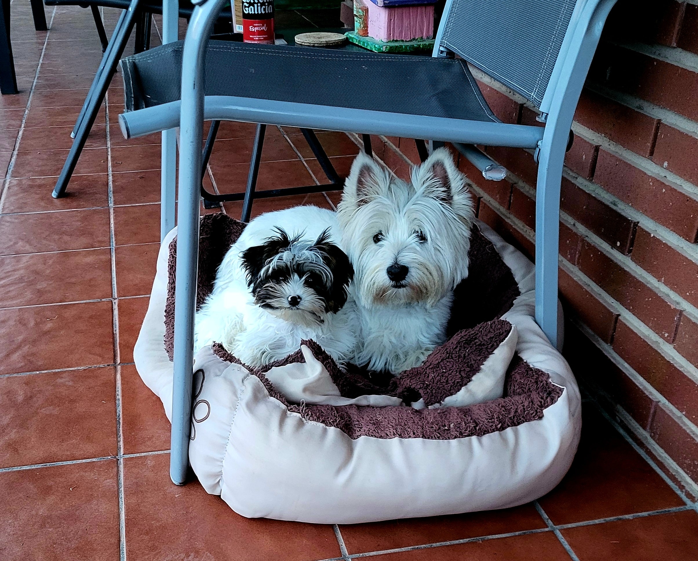 Foto 4