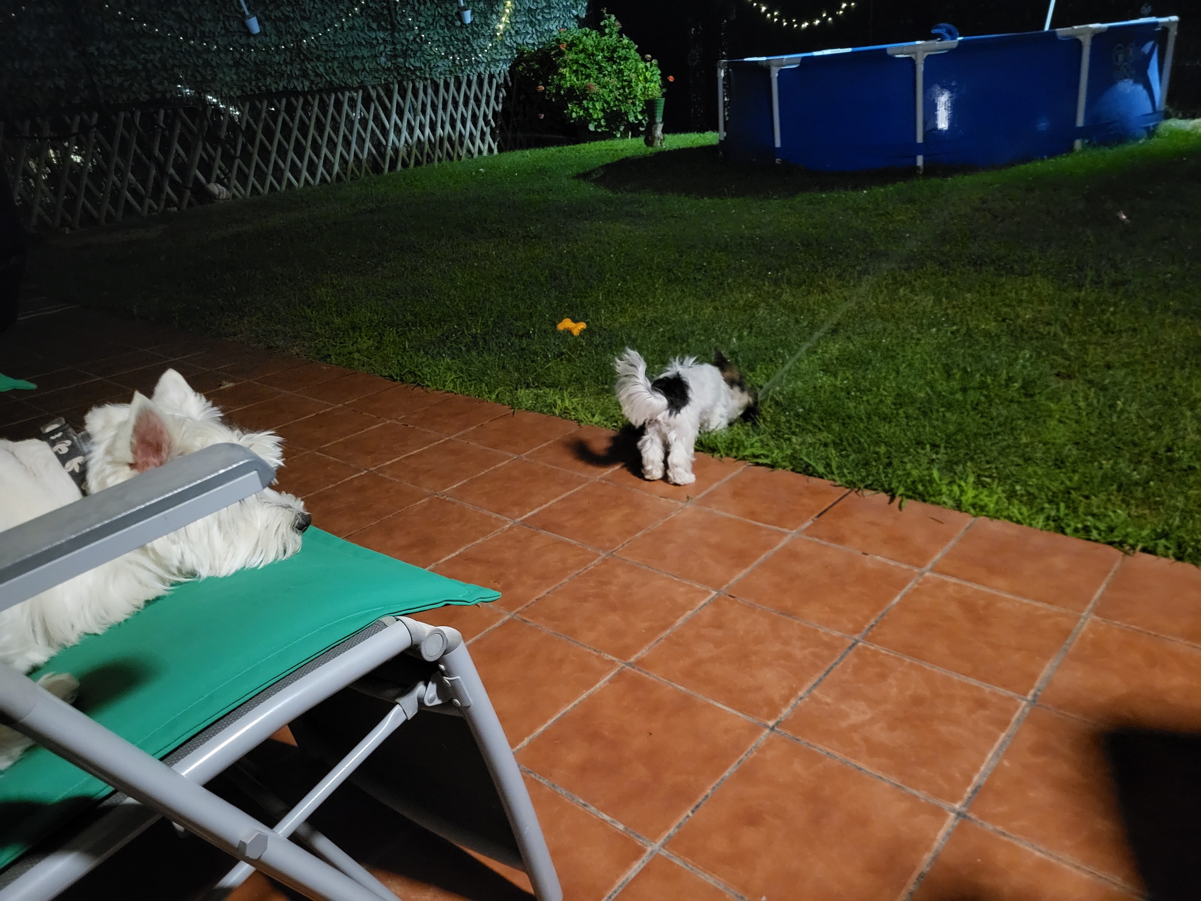 Foto 5