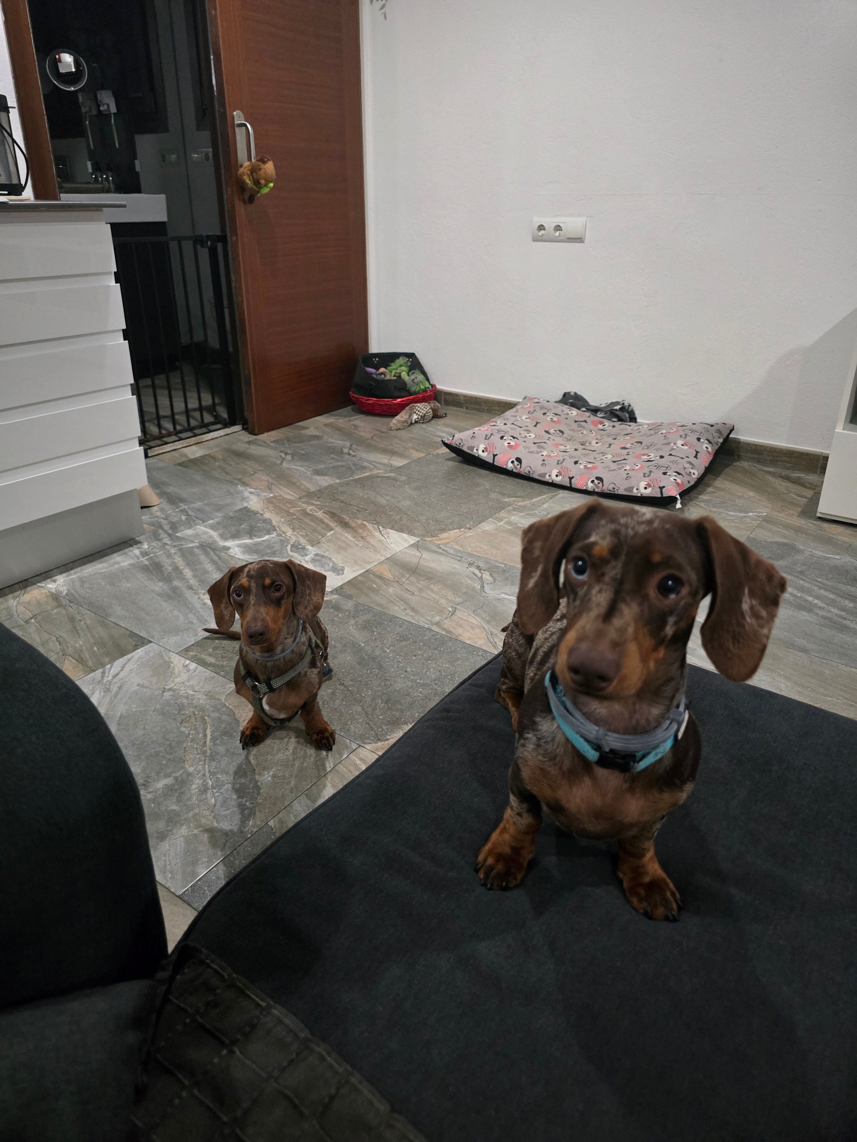 Foto 5