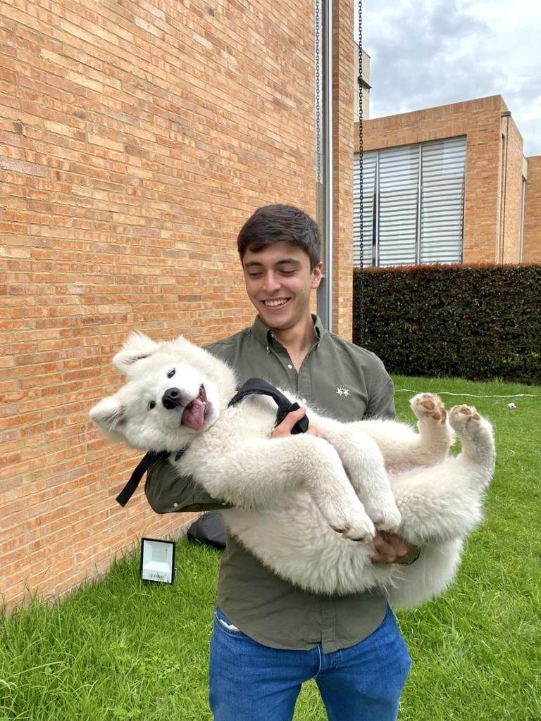 Foto 1