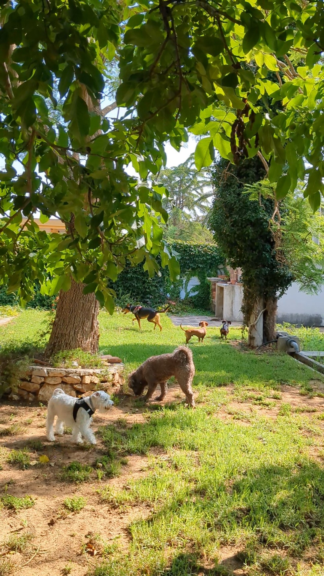 Foto 4
