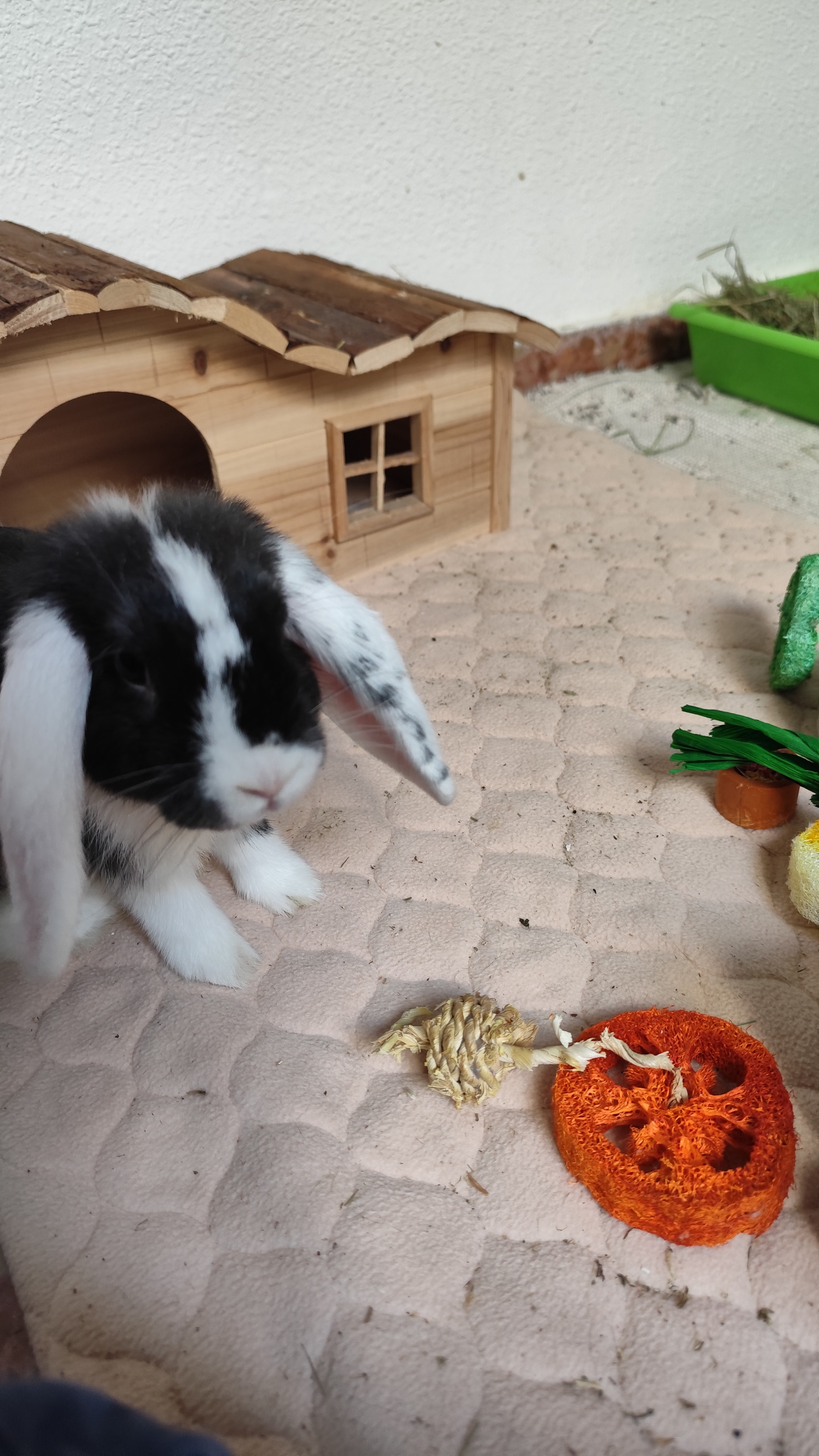 Foto 3