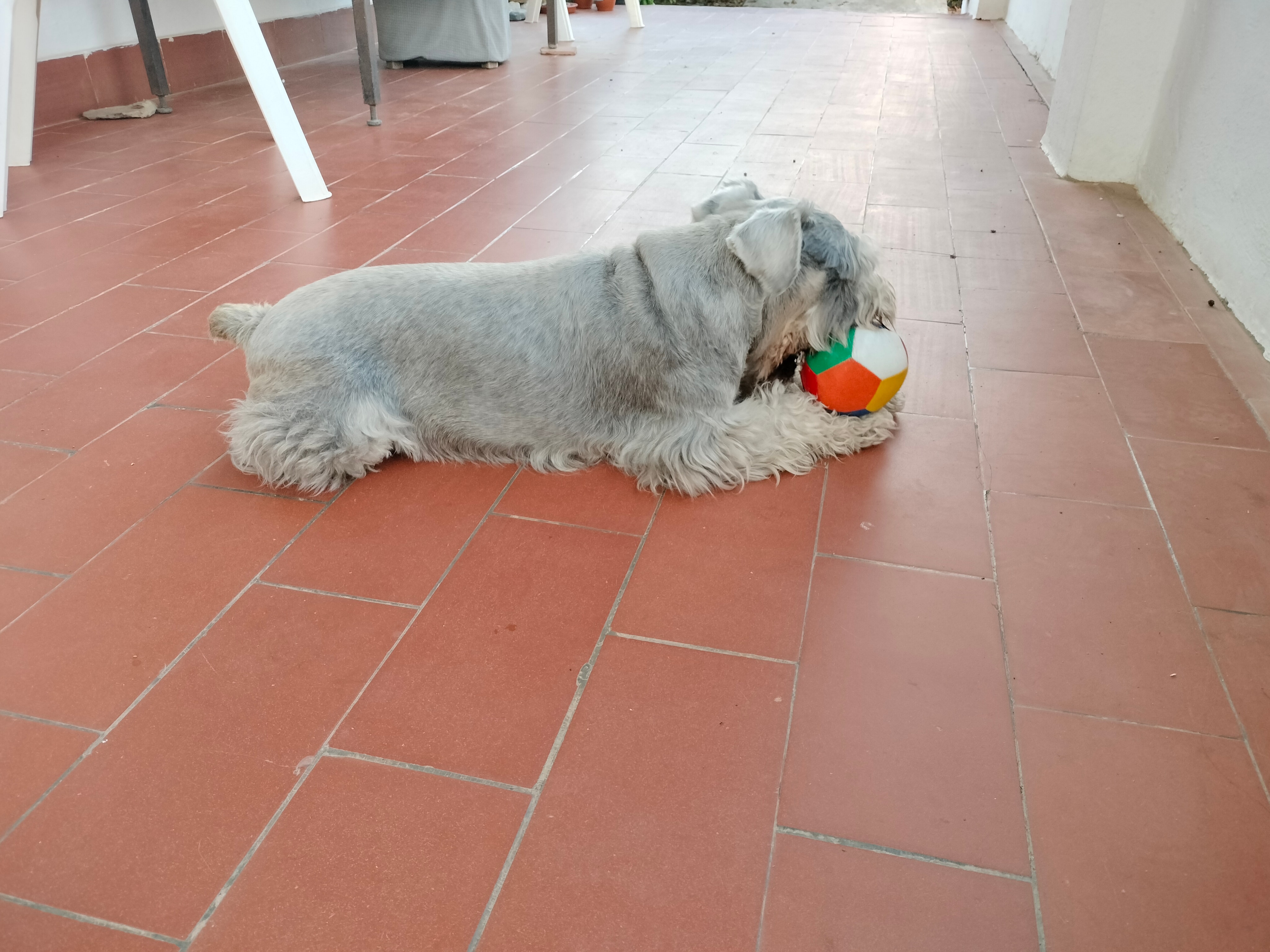 Foto 5