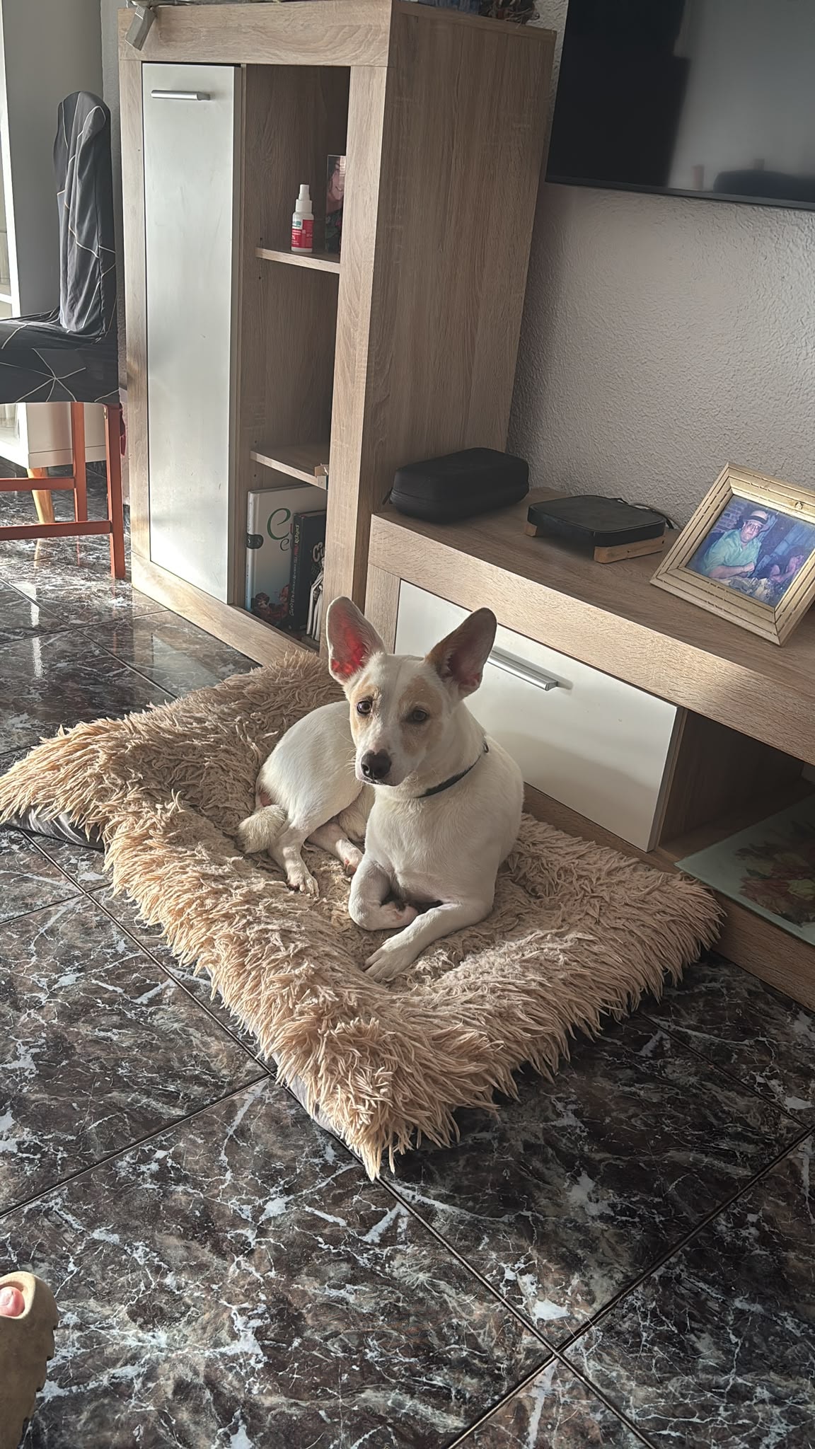Foto 5