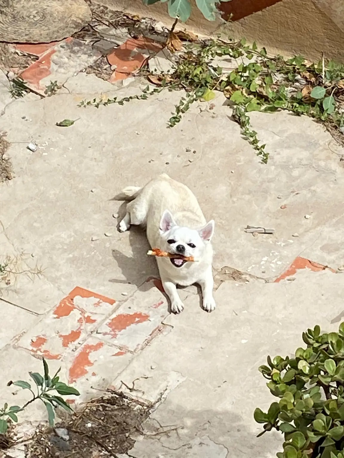 Foto 4