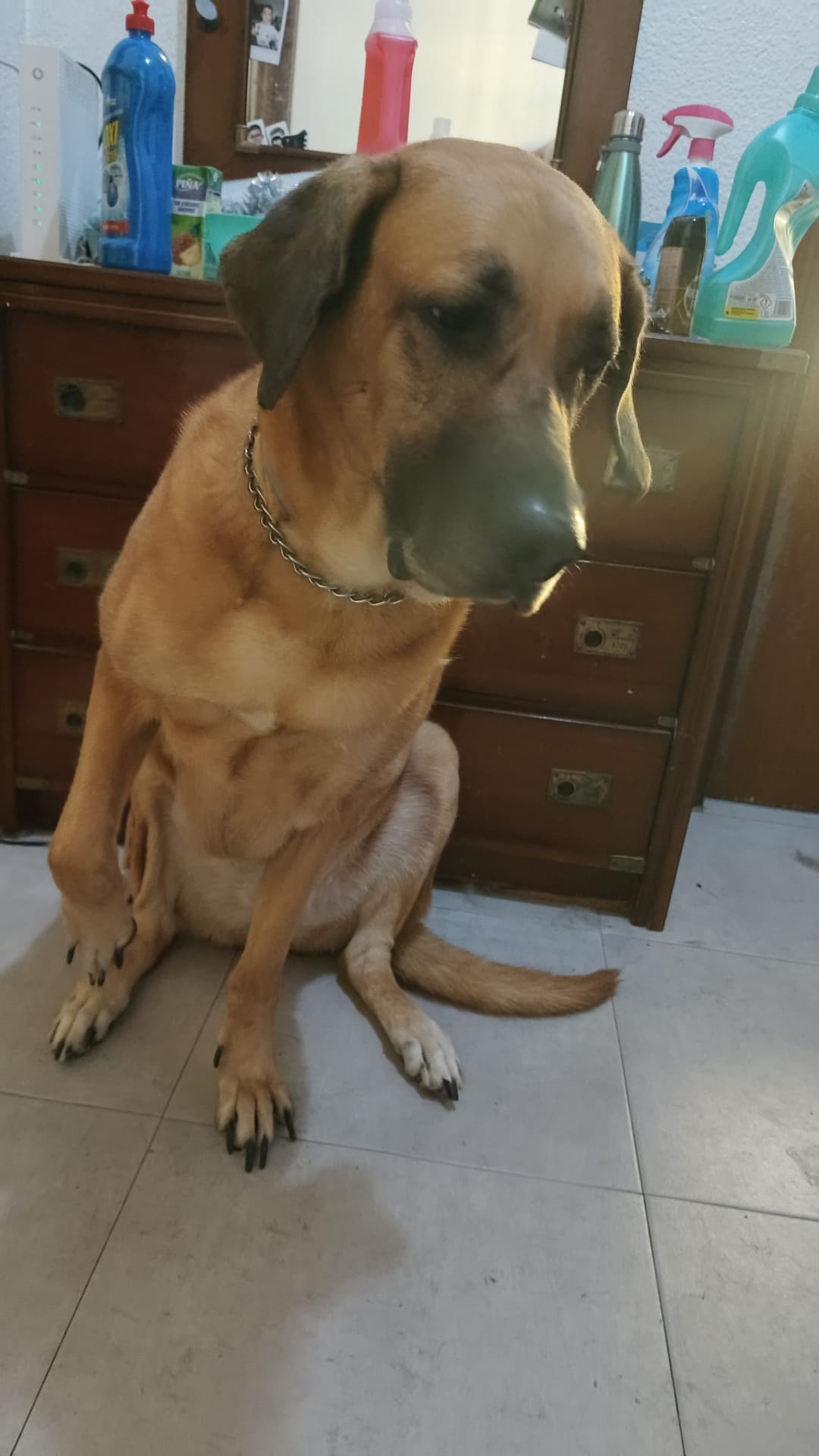Foto 4