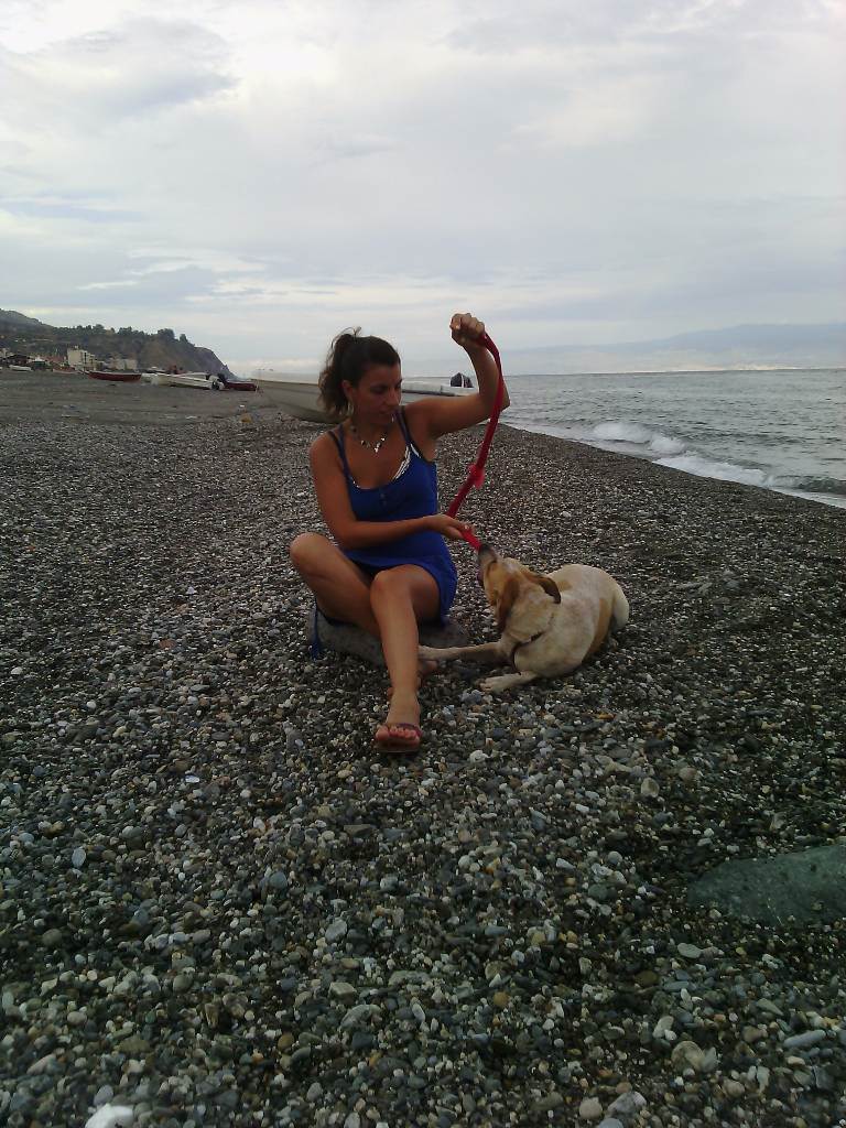 Foto 4