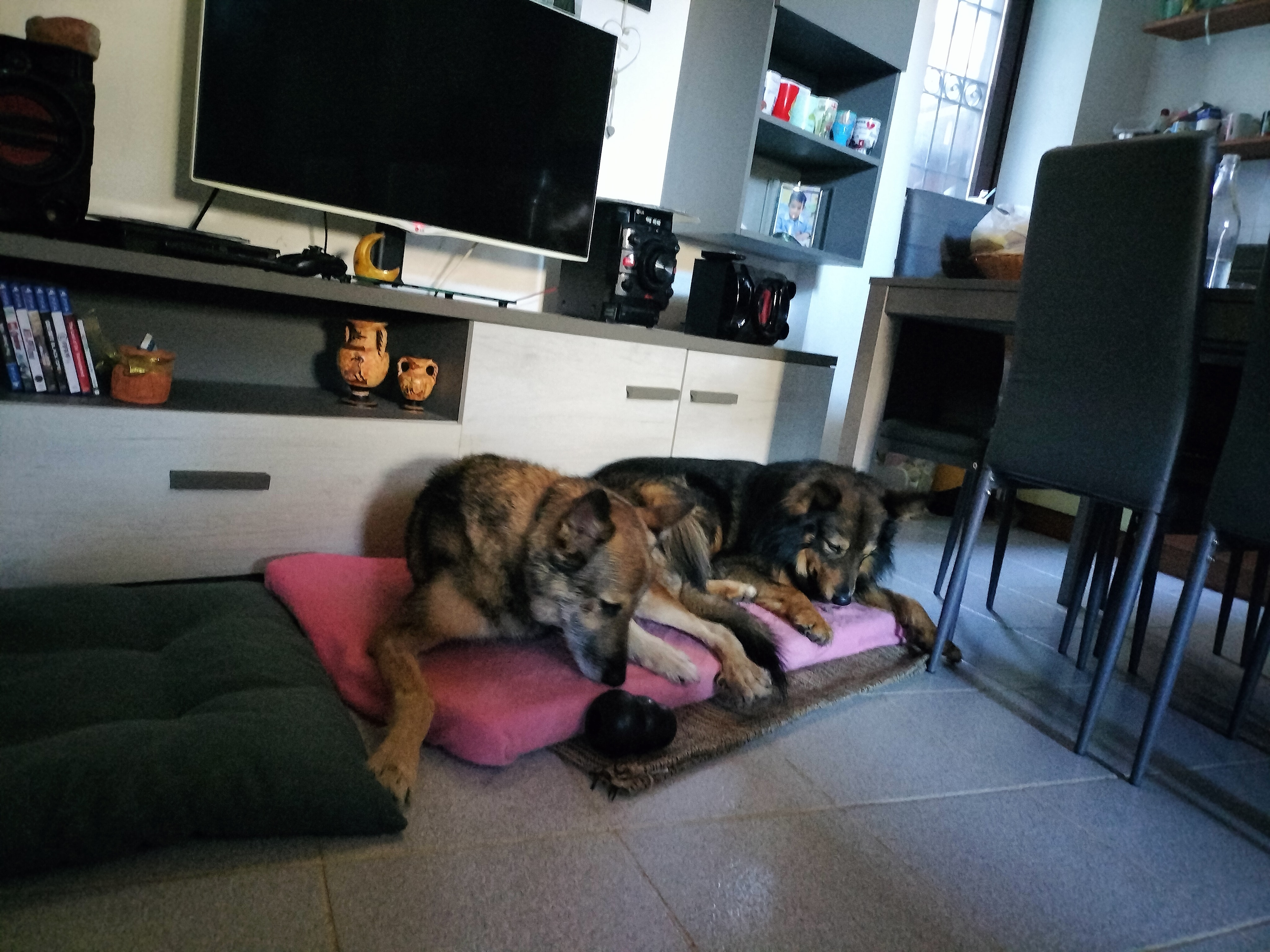 Foto 2