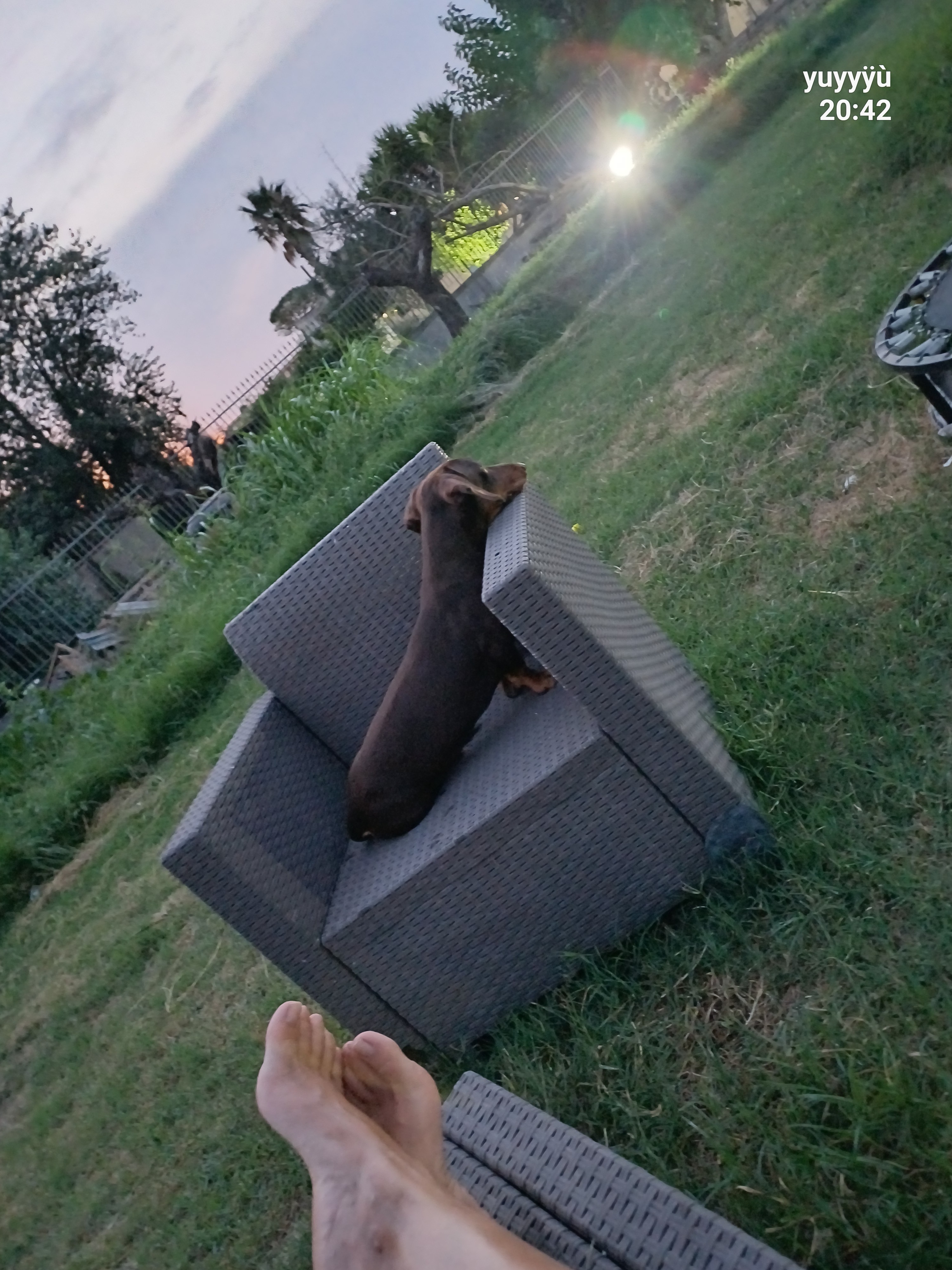 Photo 4