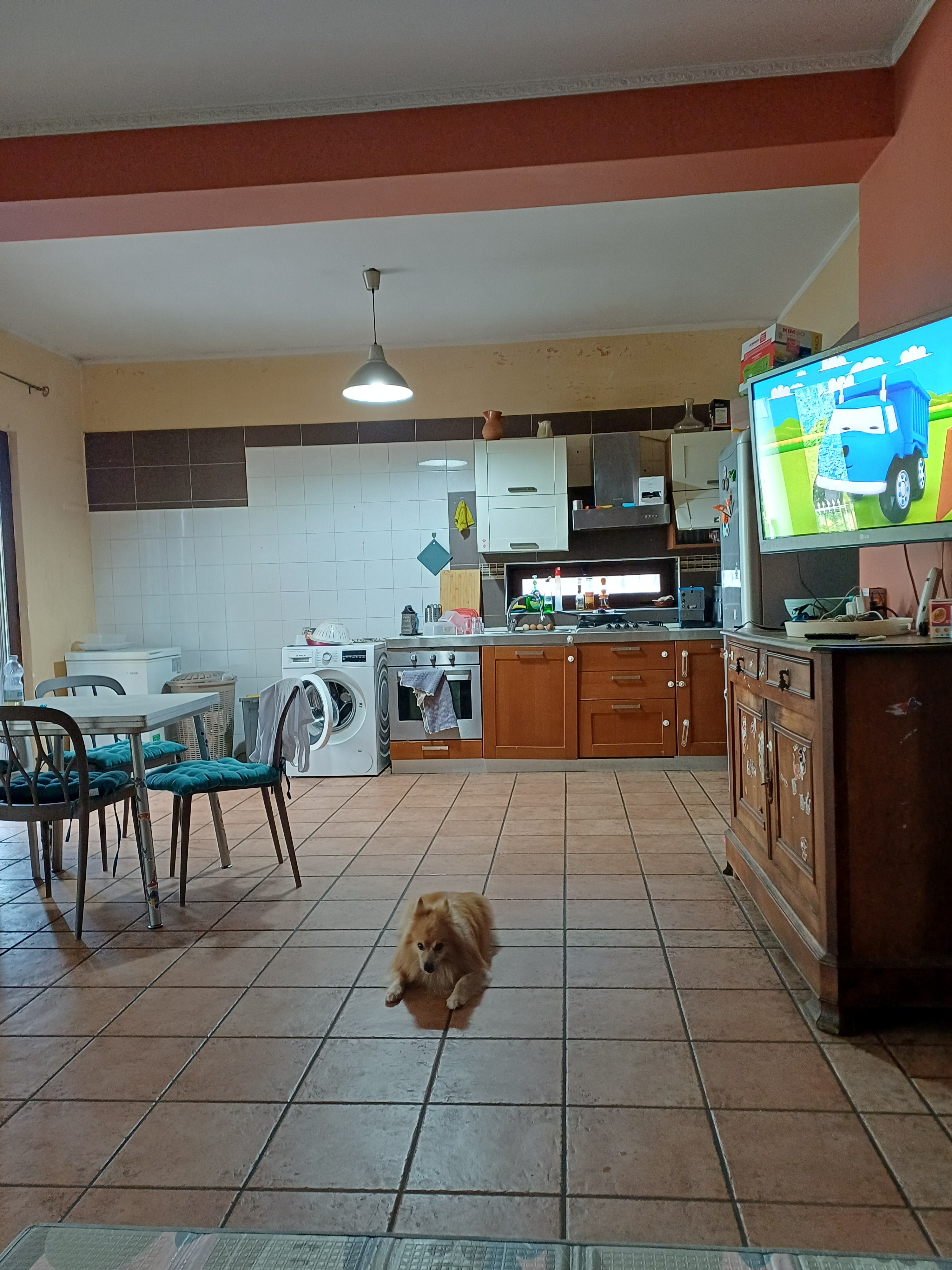 Photo 6
