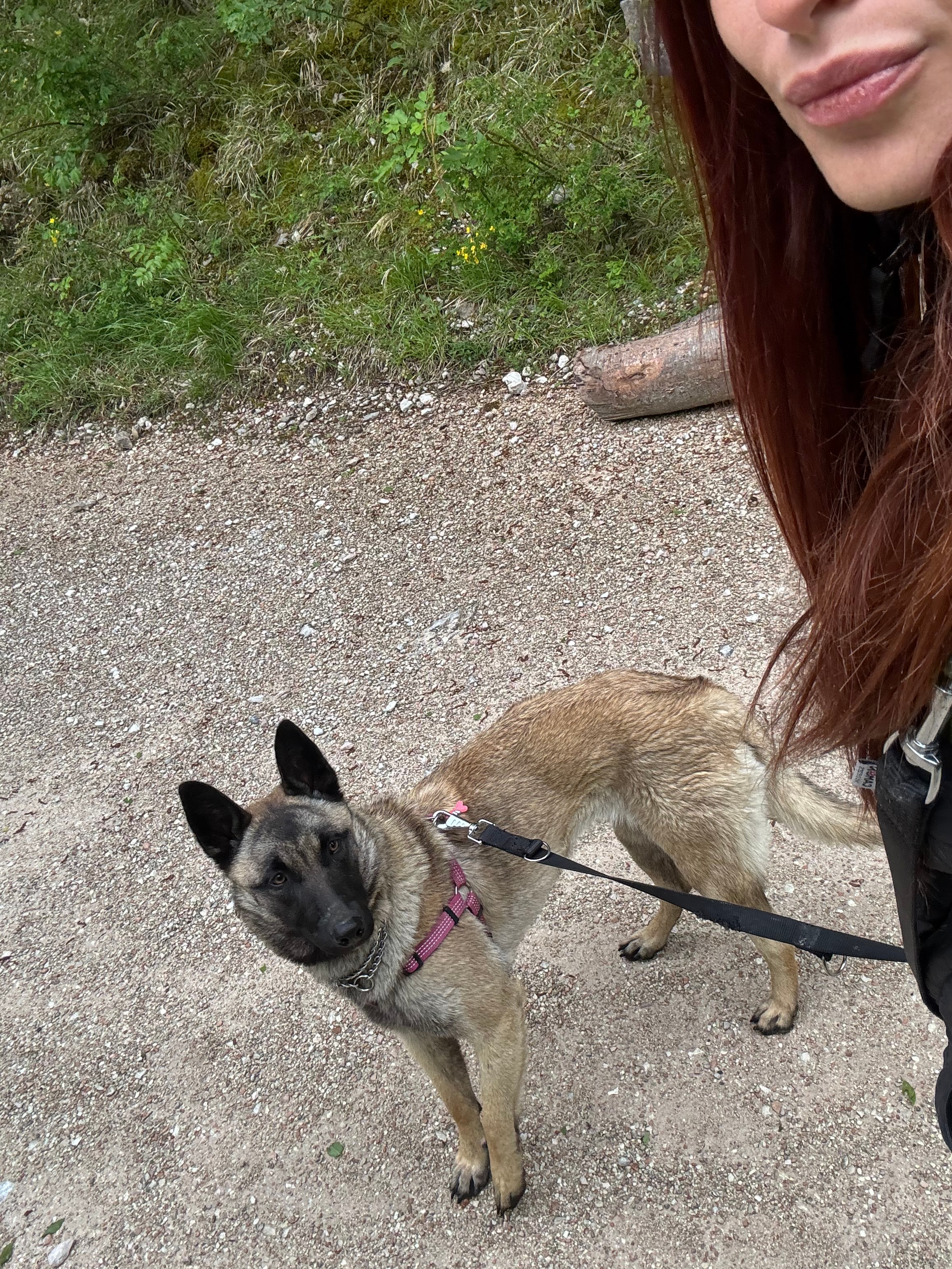 Foto 2