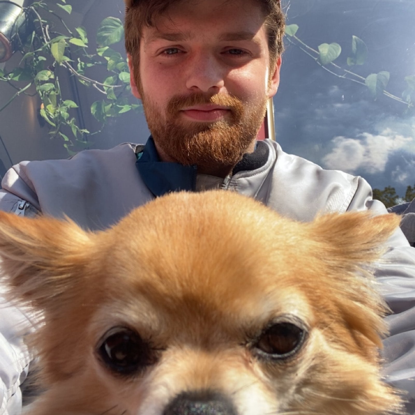 Ole