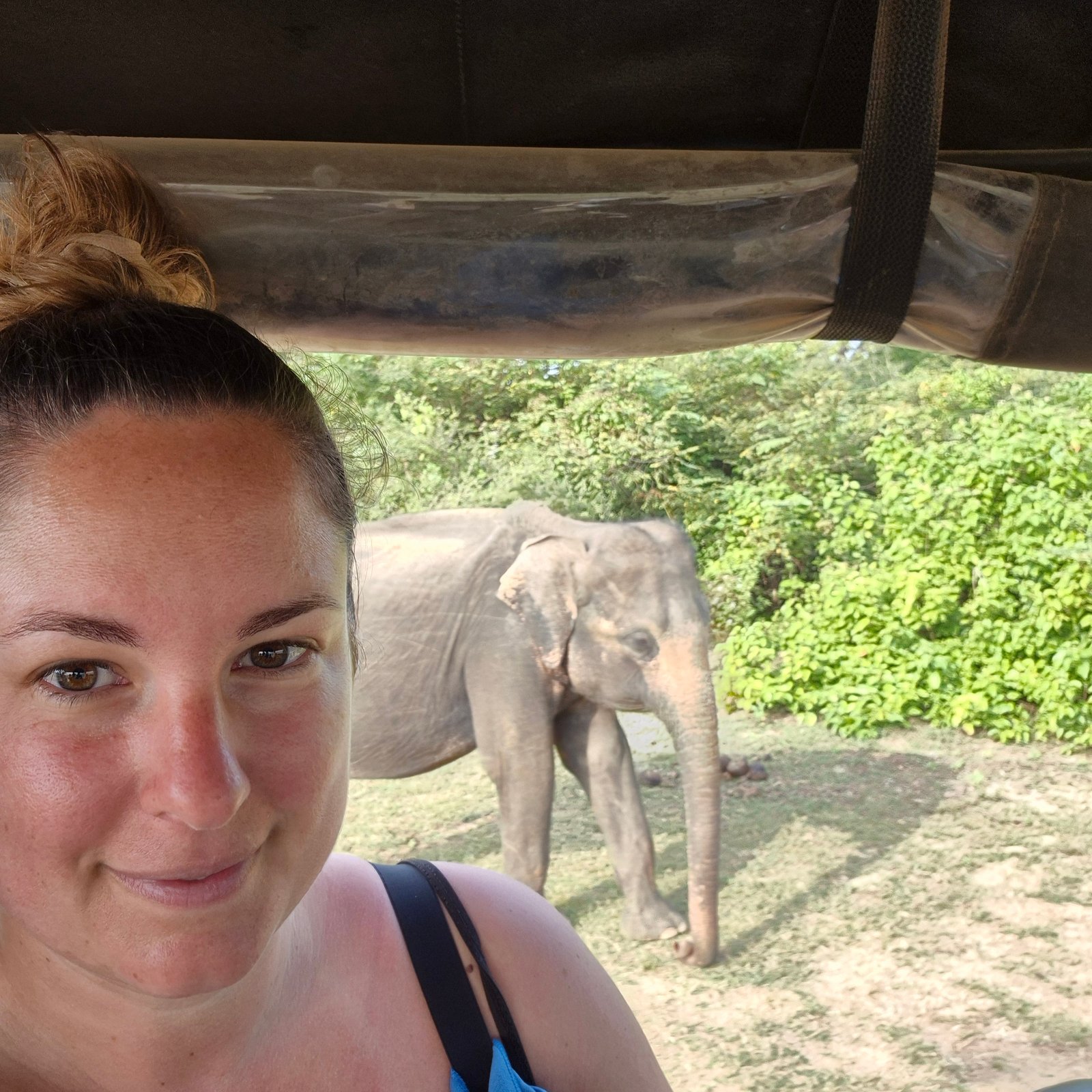 Photo du profil de Aurore