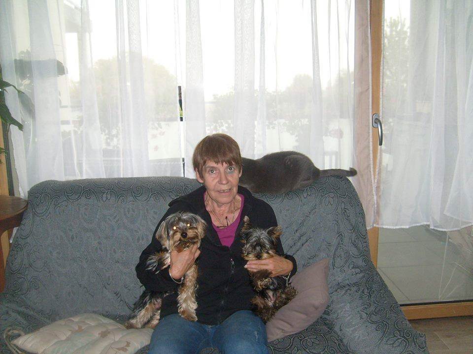 Photo 1