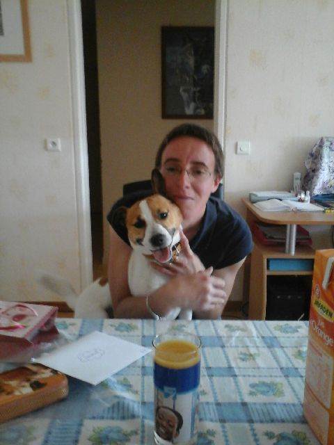 Photo 8