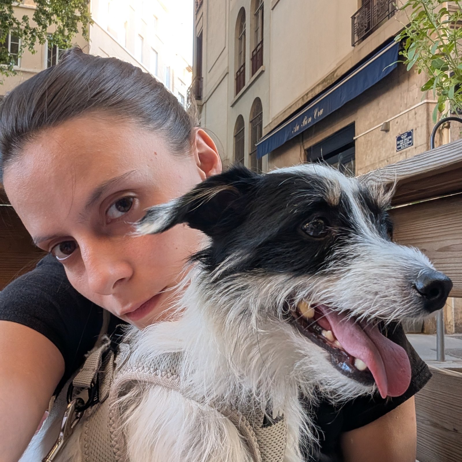 Photo du profil de Clara