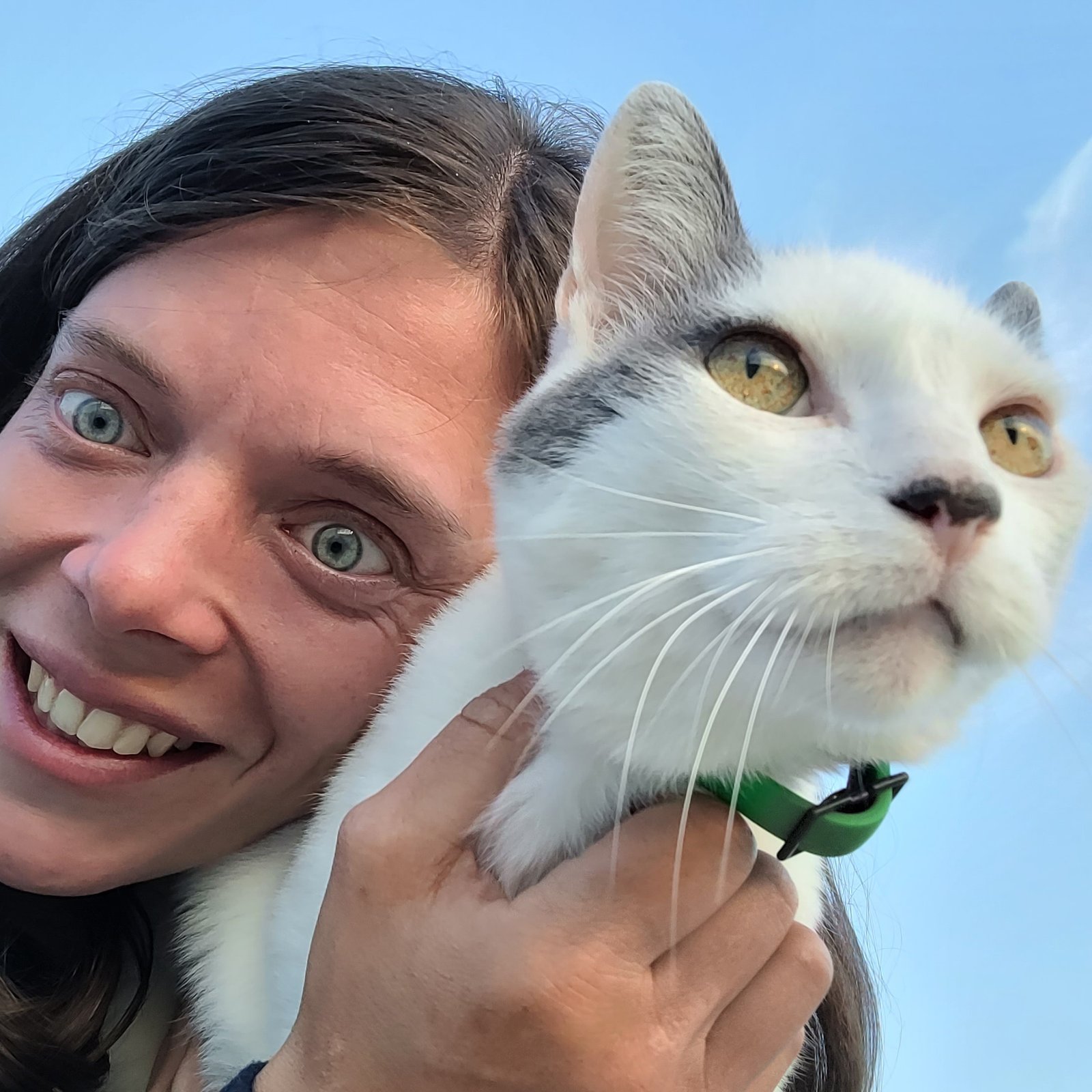 Photo du profil de Gwenaelle