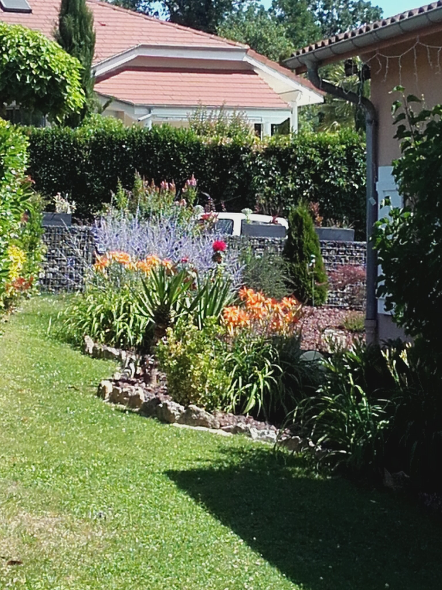 Photo 8