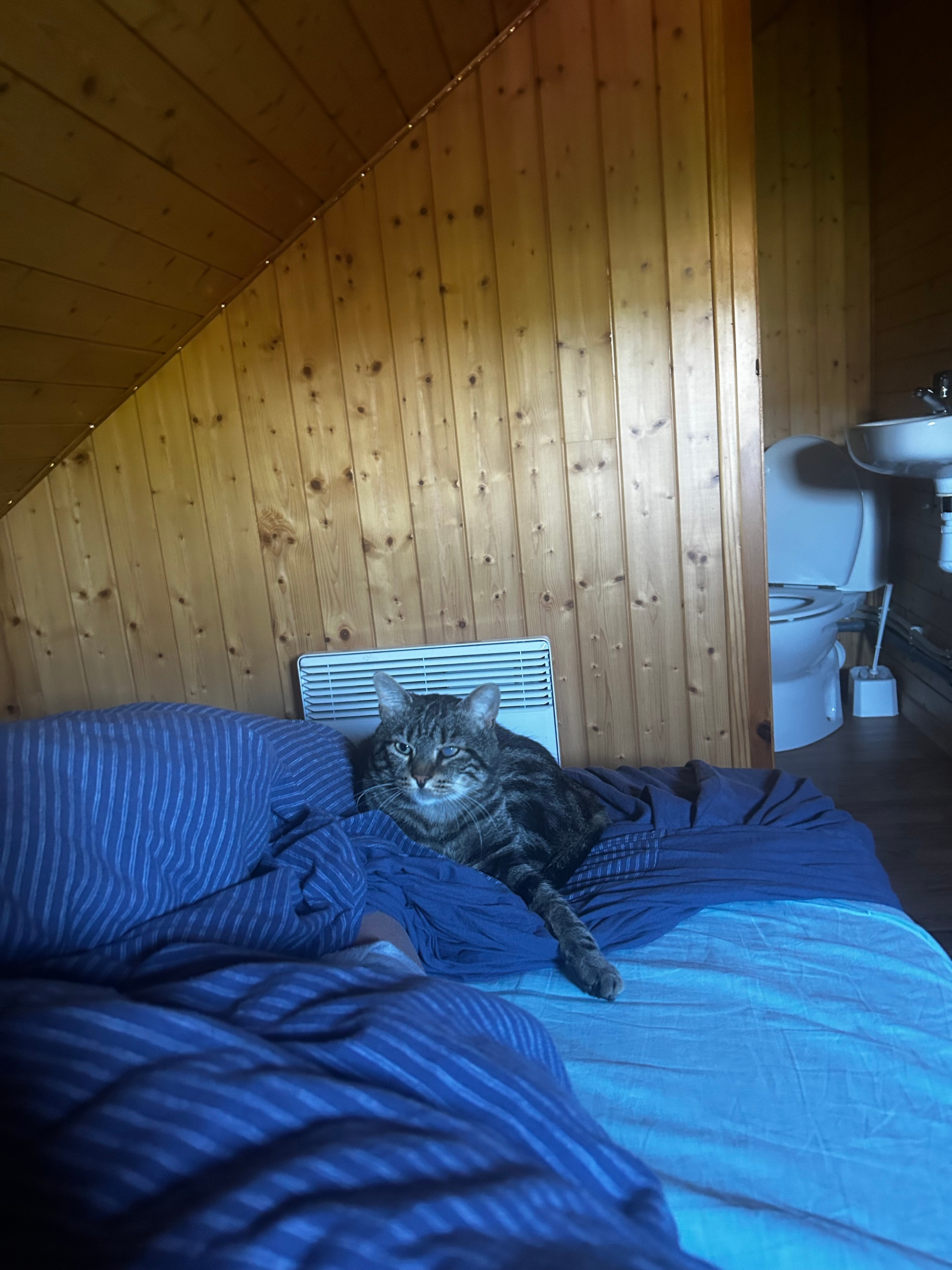 Photo 7