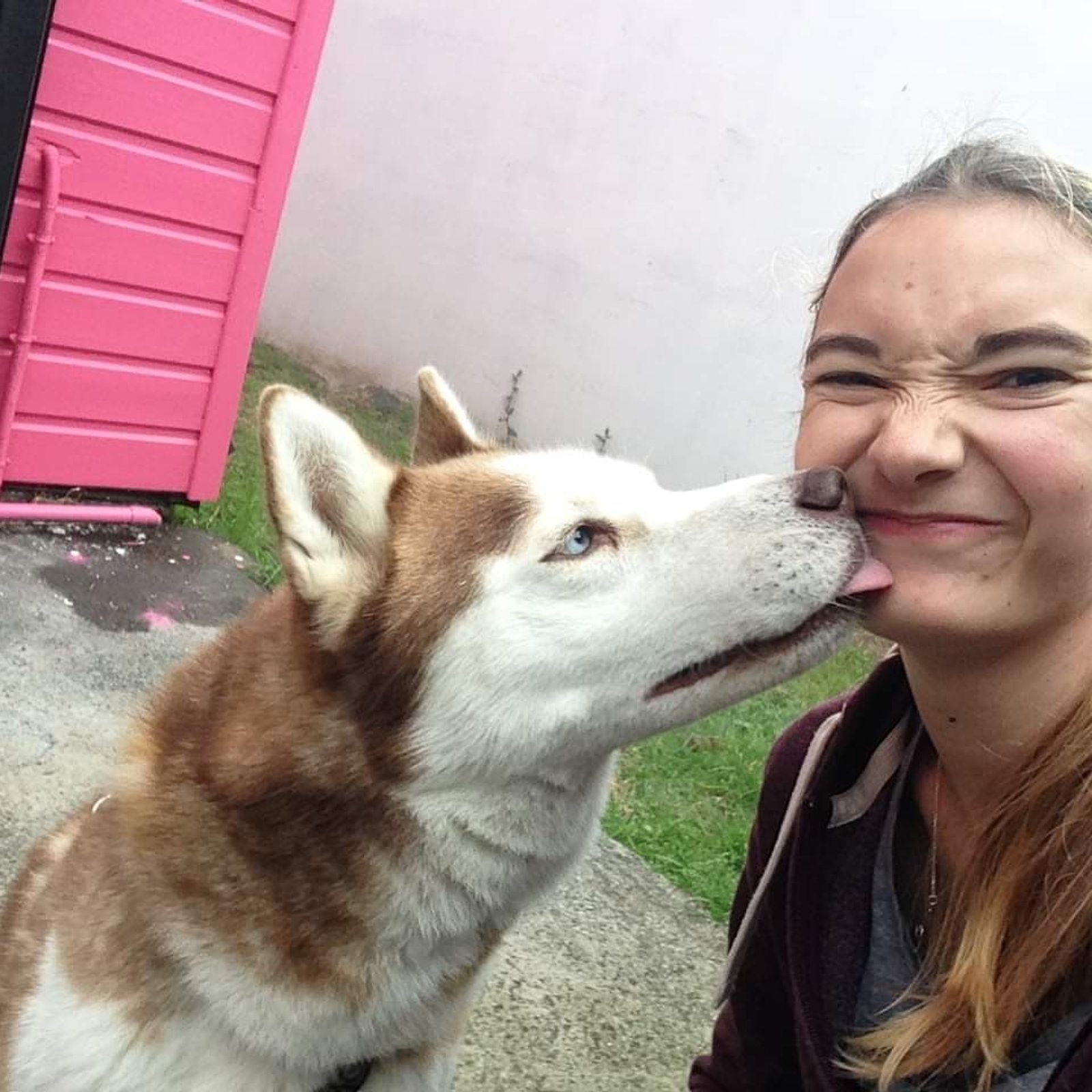 Photo du profil de Elisa