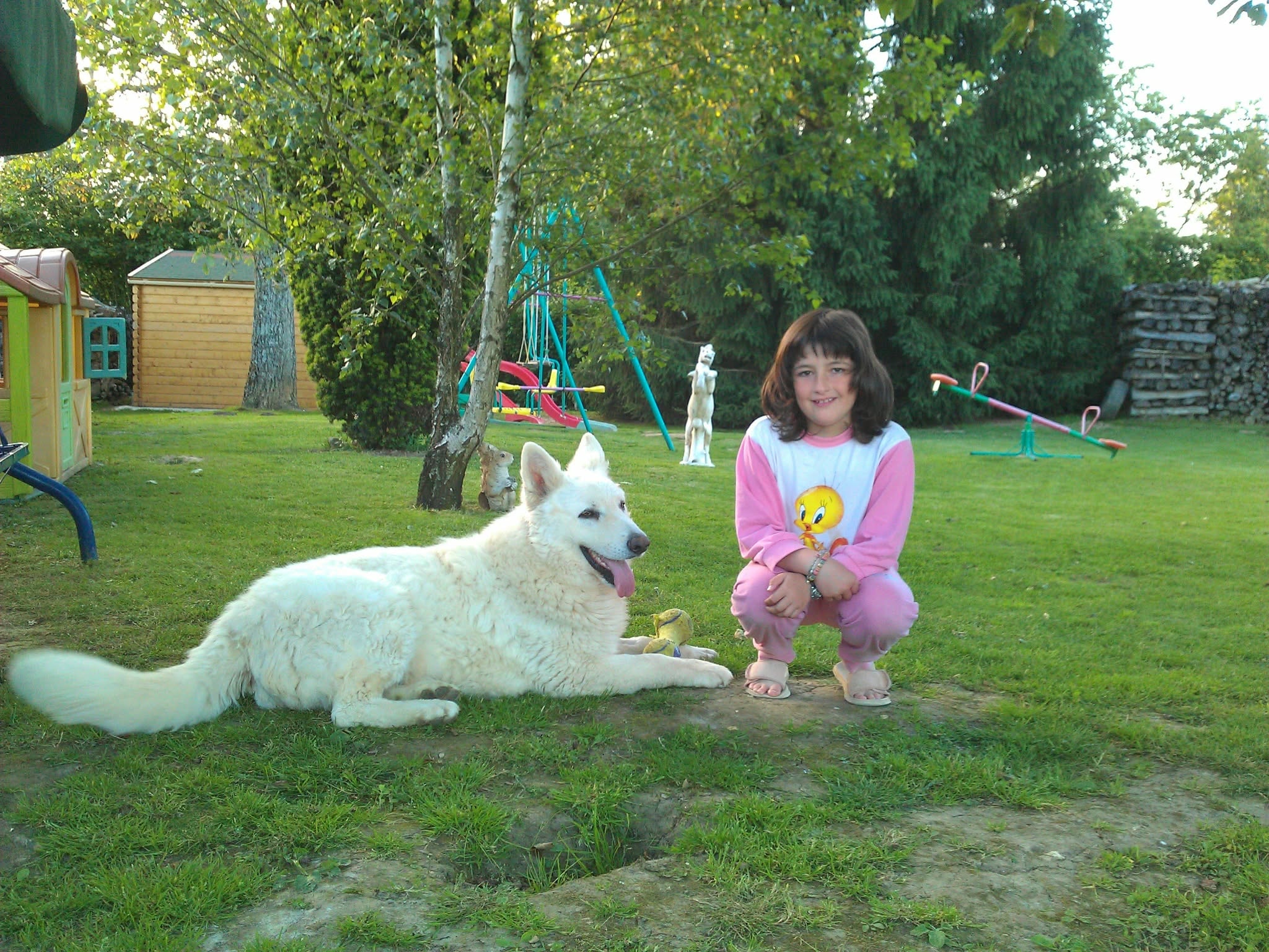 Photo 3