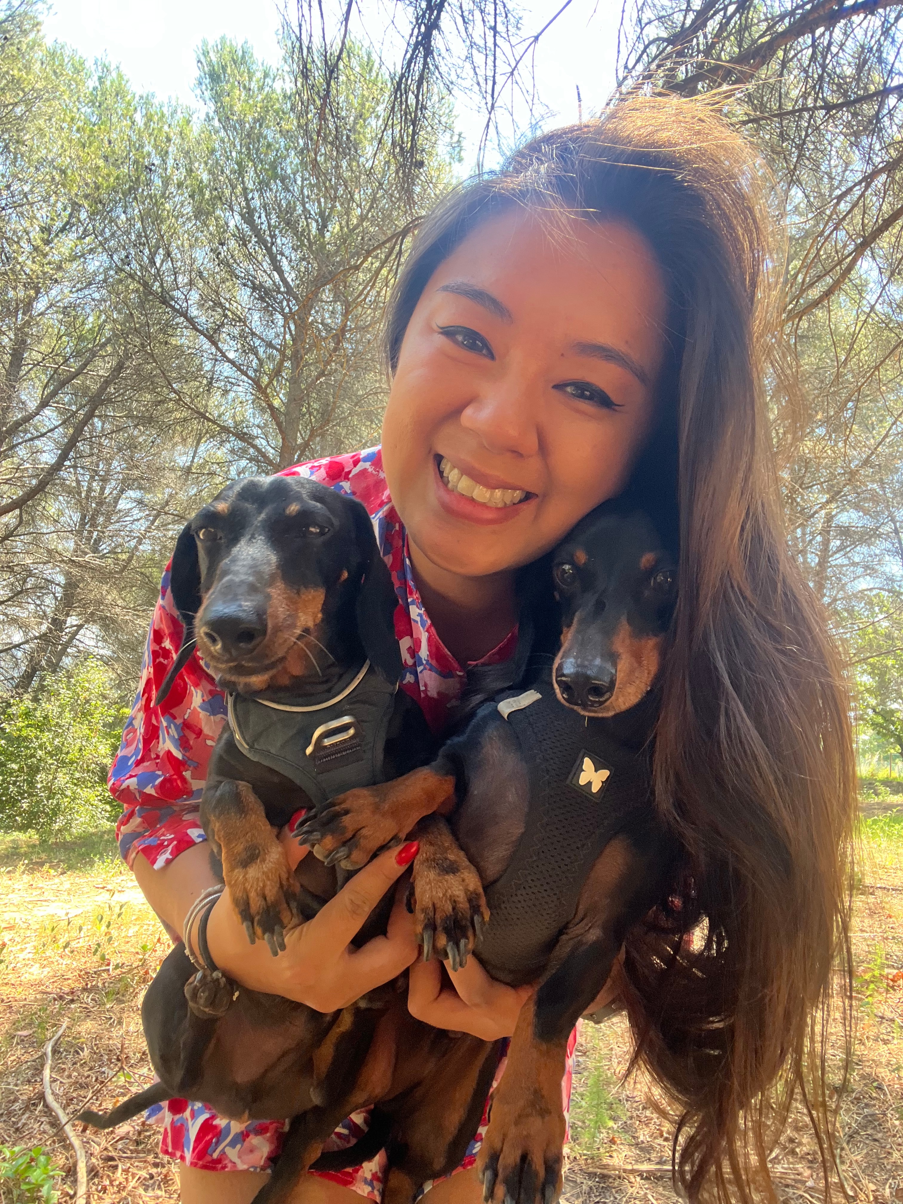 Photo 6