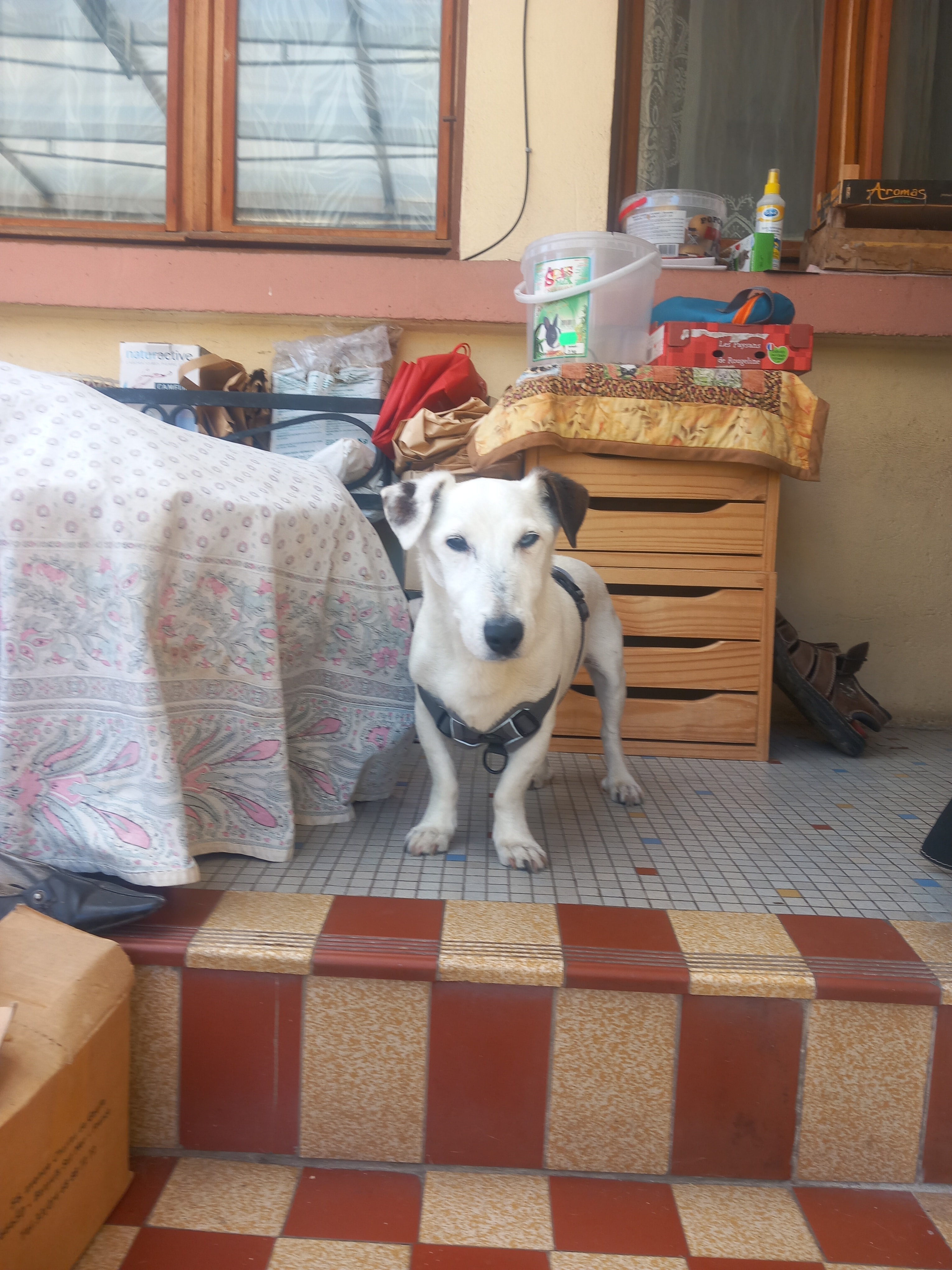Photo 6