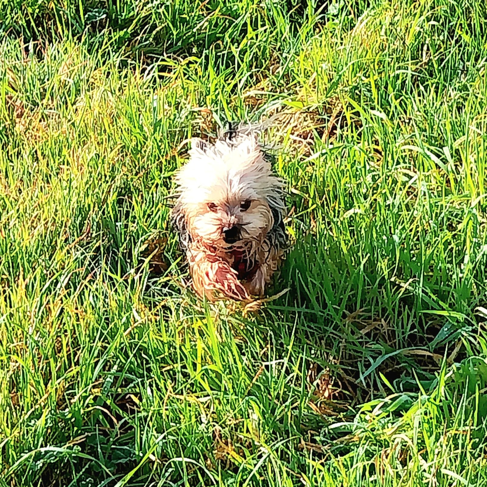 Photo du profil de Mia