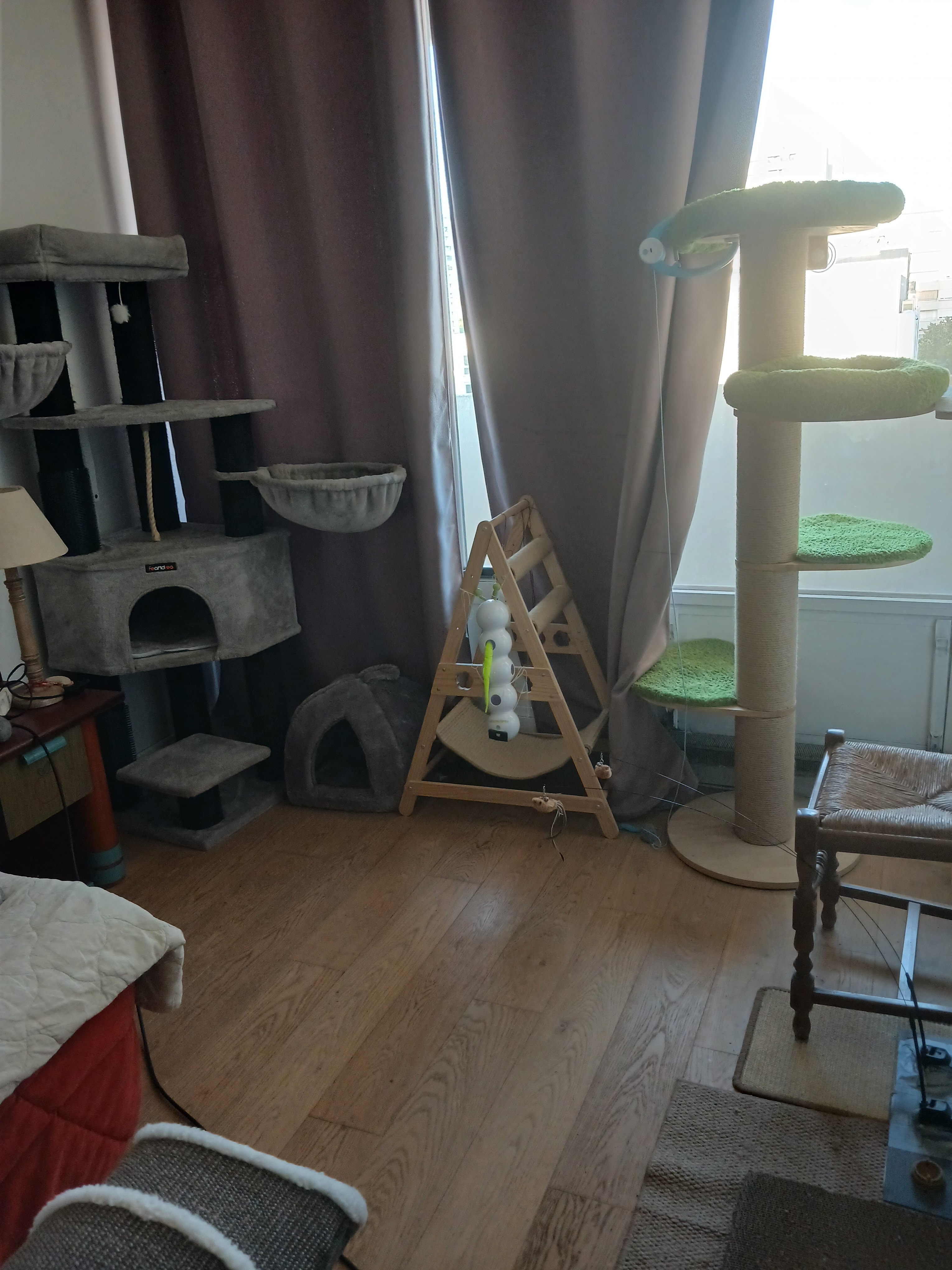 Photo 5