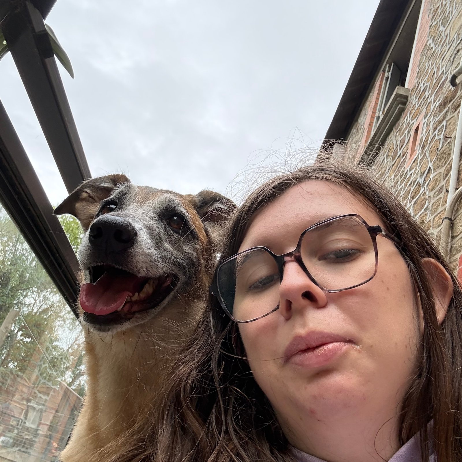 Photo du profil de Amandine