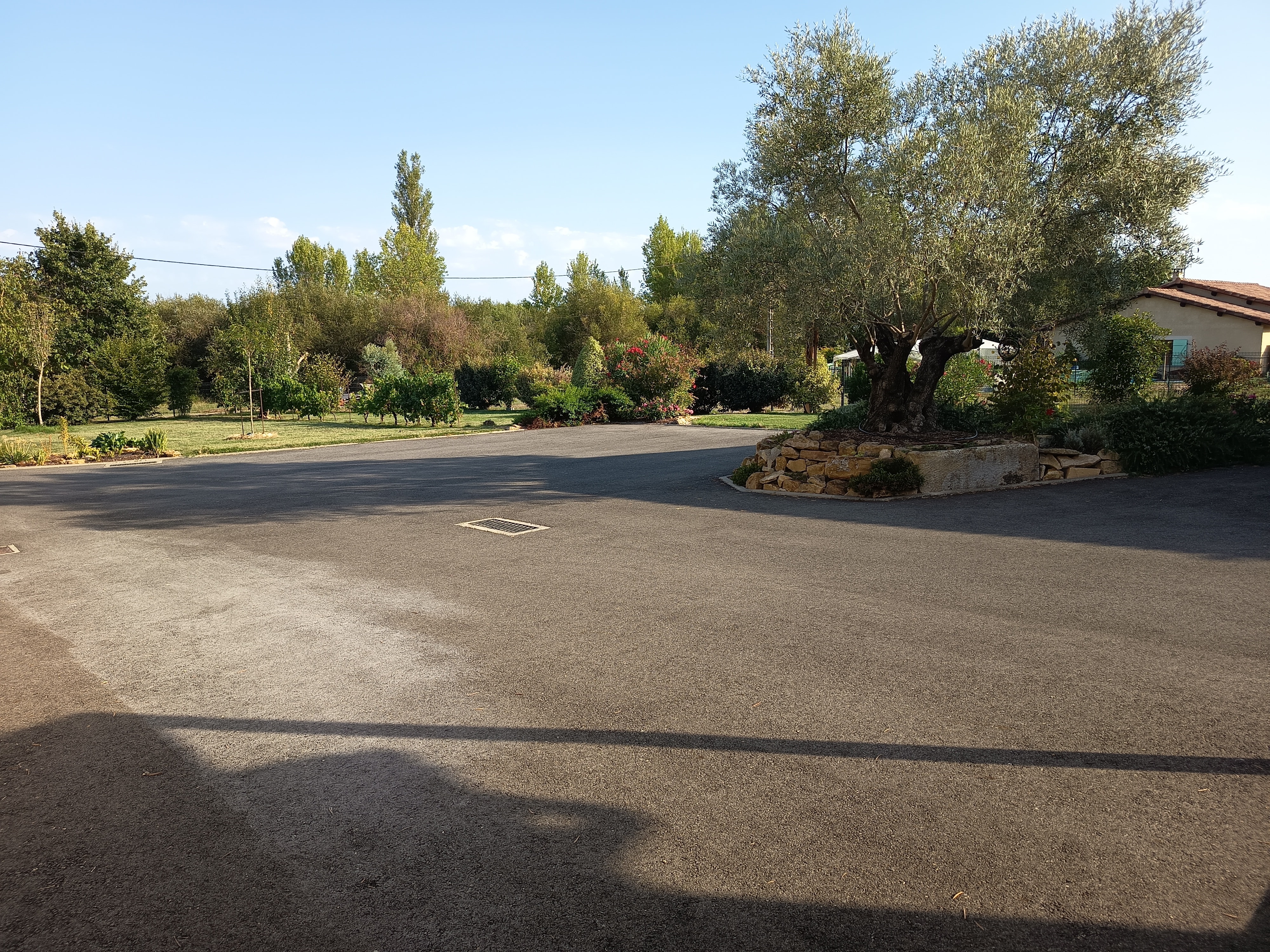 Photo 6