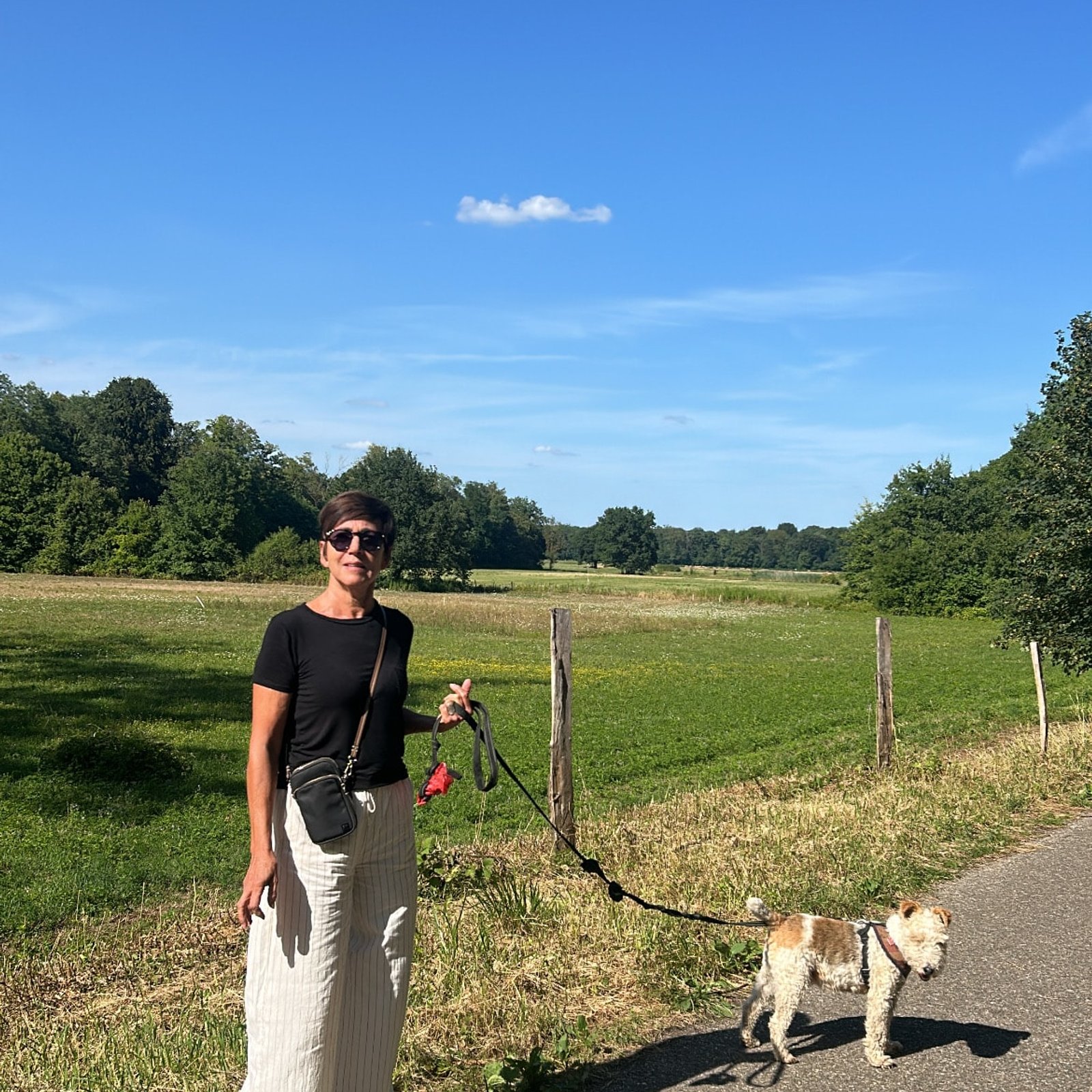 Photo du profil de Martine