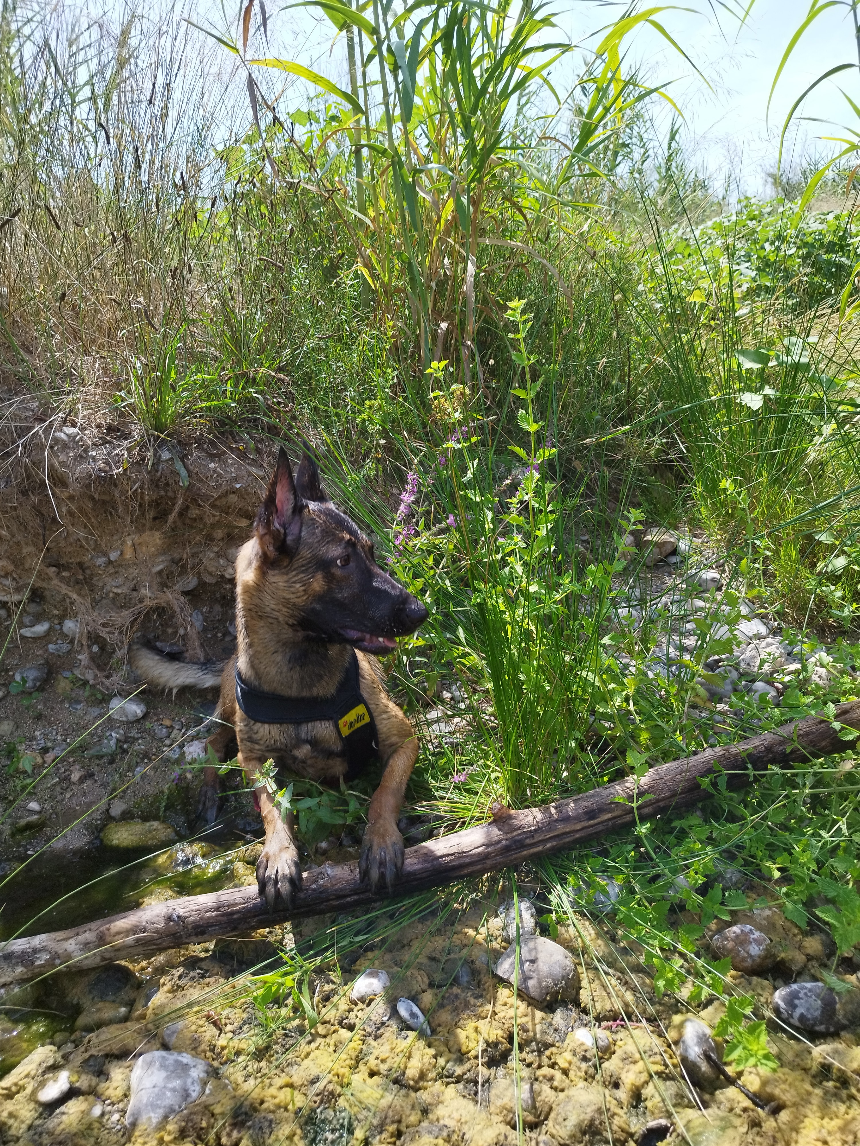 Foto 4