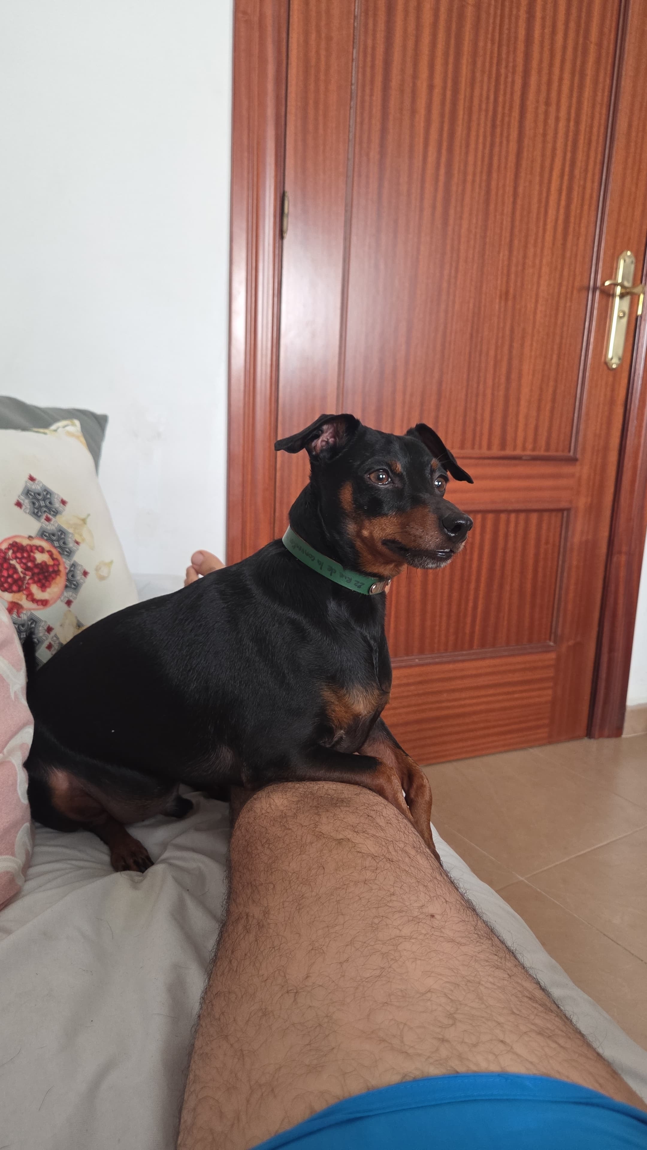 Foto 4