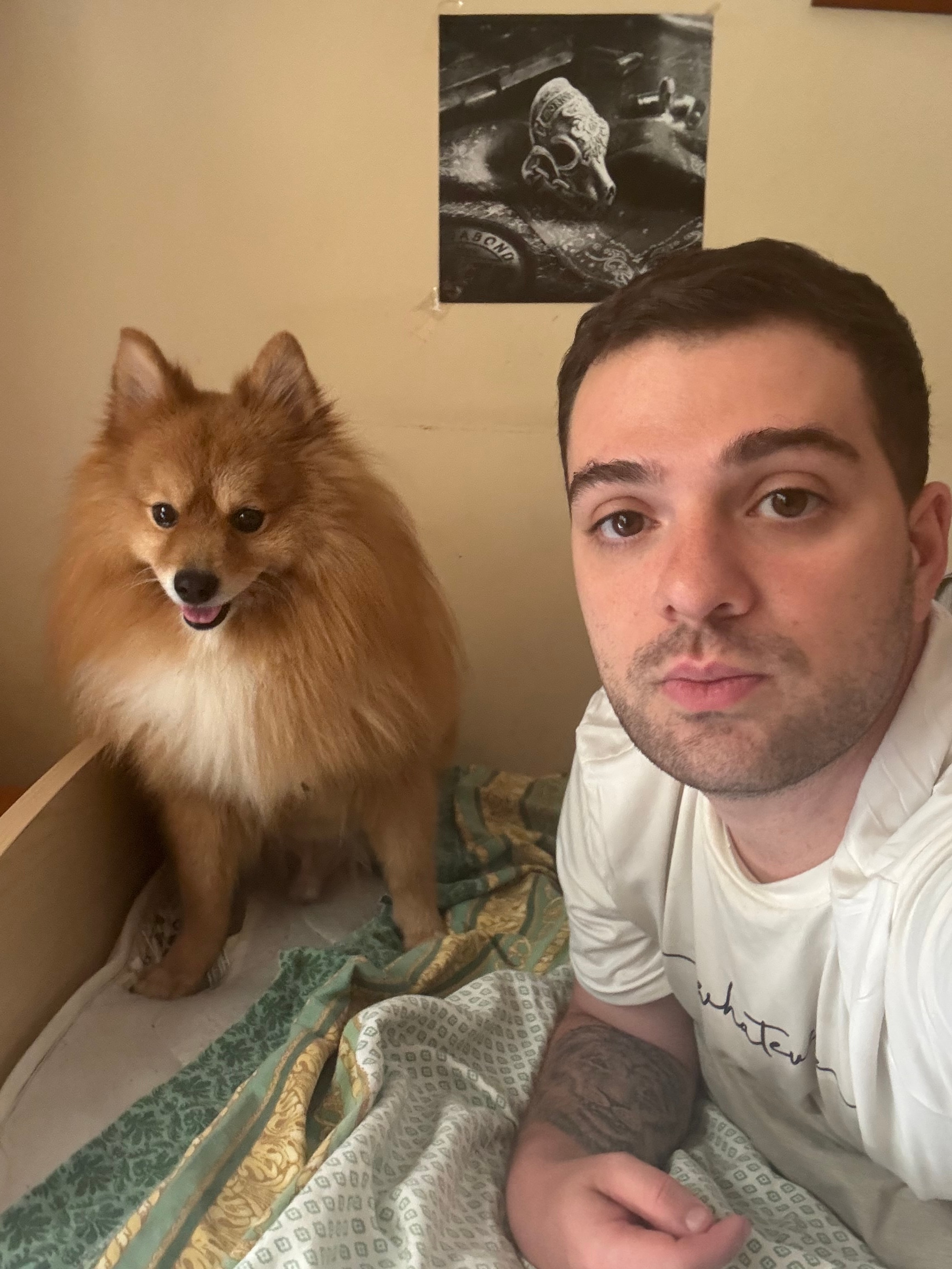 Foto 1