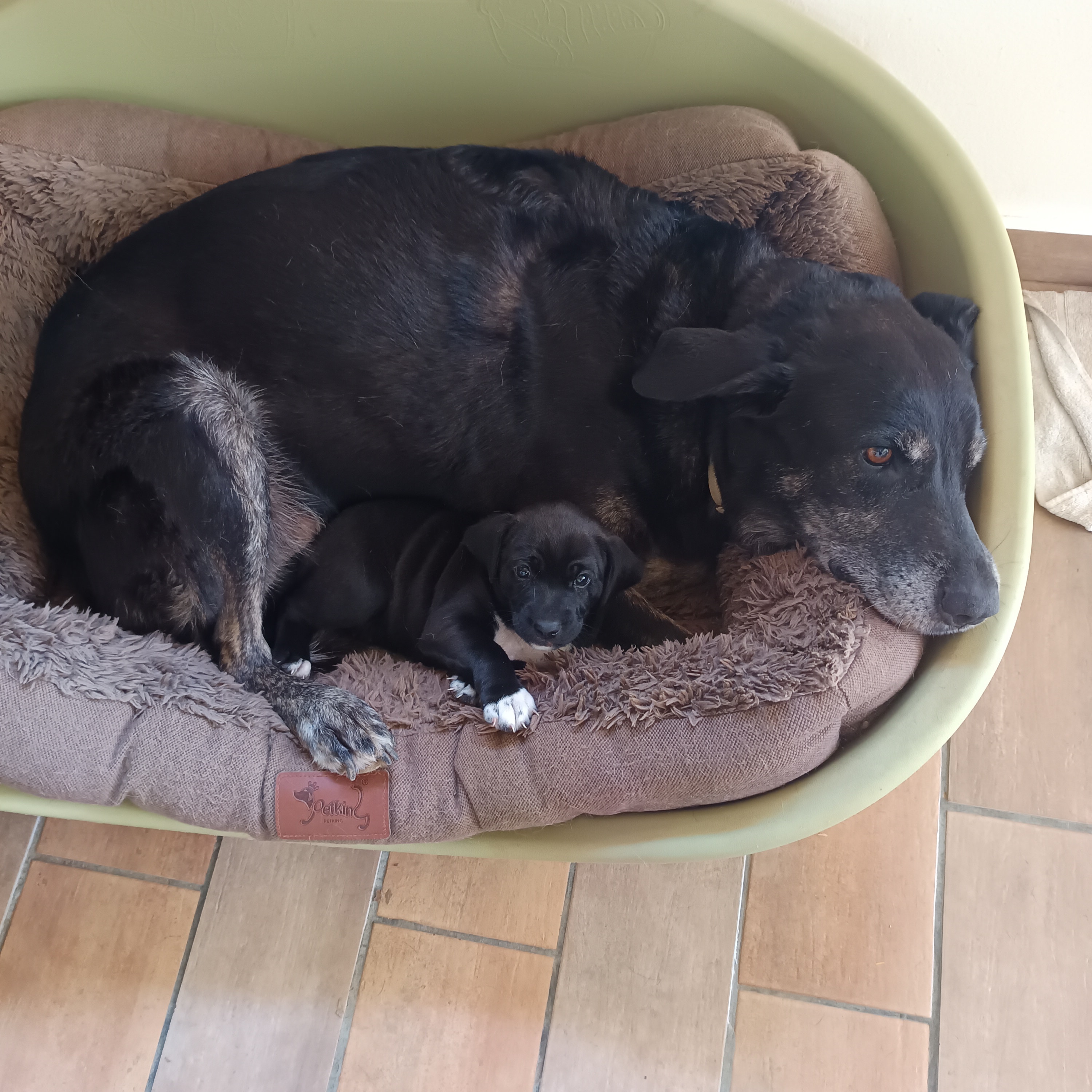 Foto 4