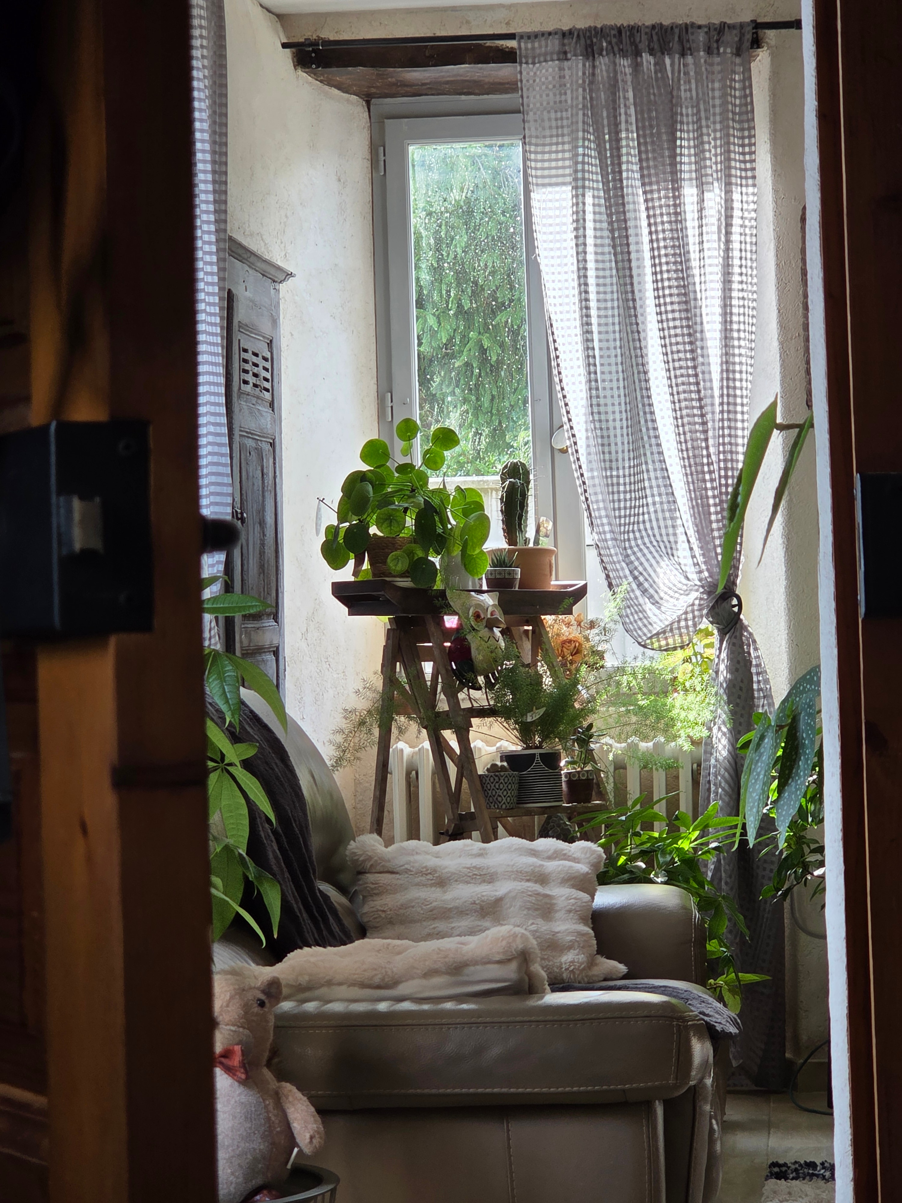 Photo 4