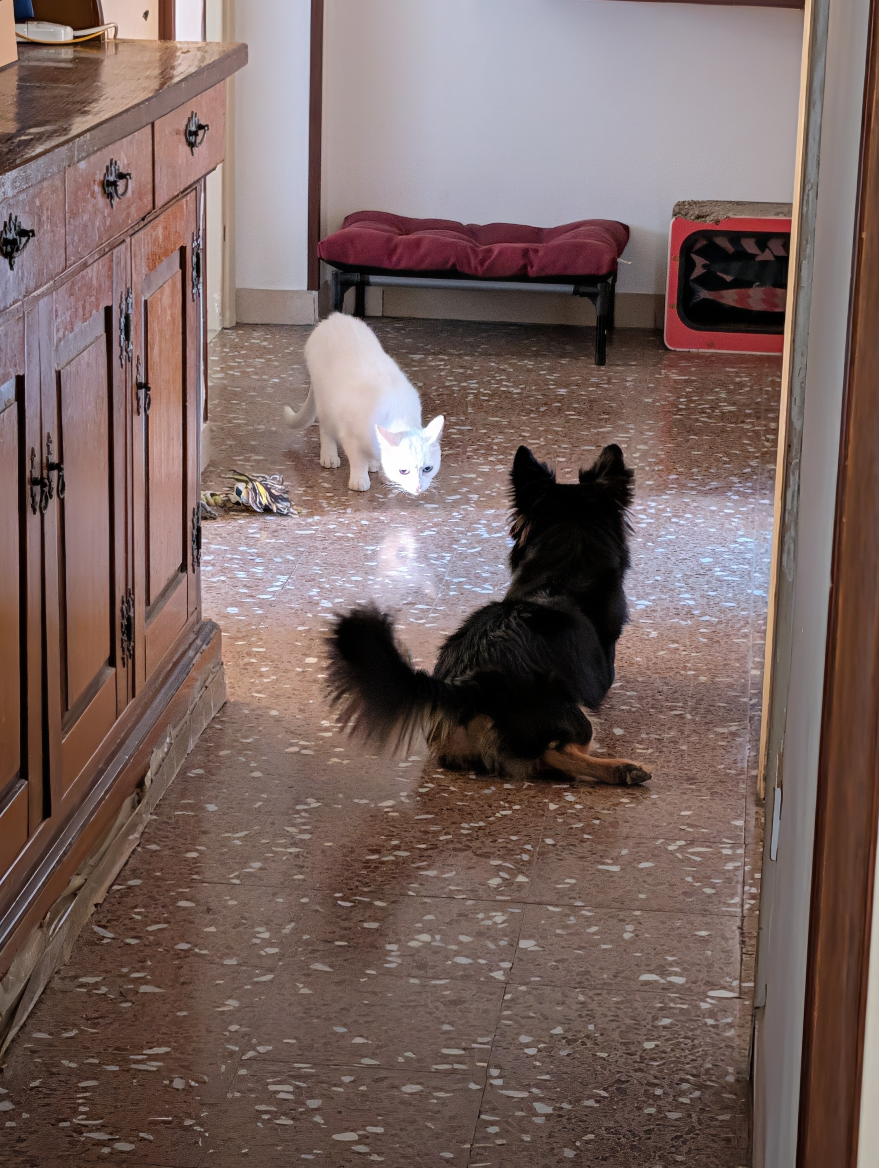 Foto 4
